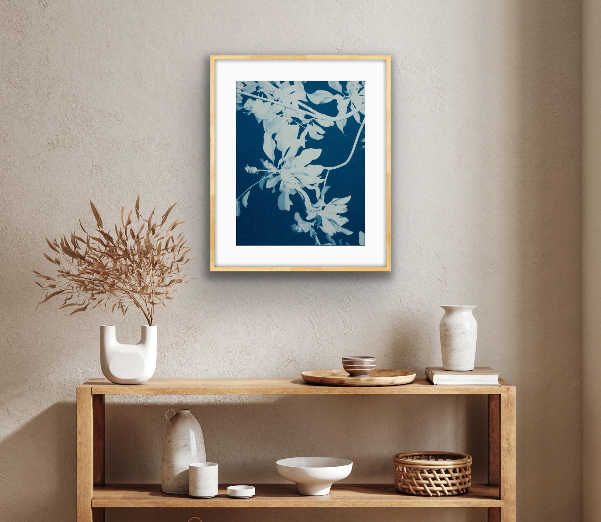 Moonlight Magnolia  (24 x 18 inch hand-printed cyanotype) - Contemporary Print by Christine So