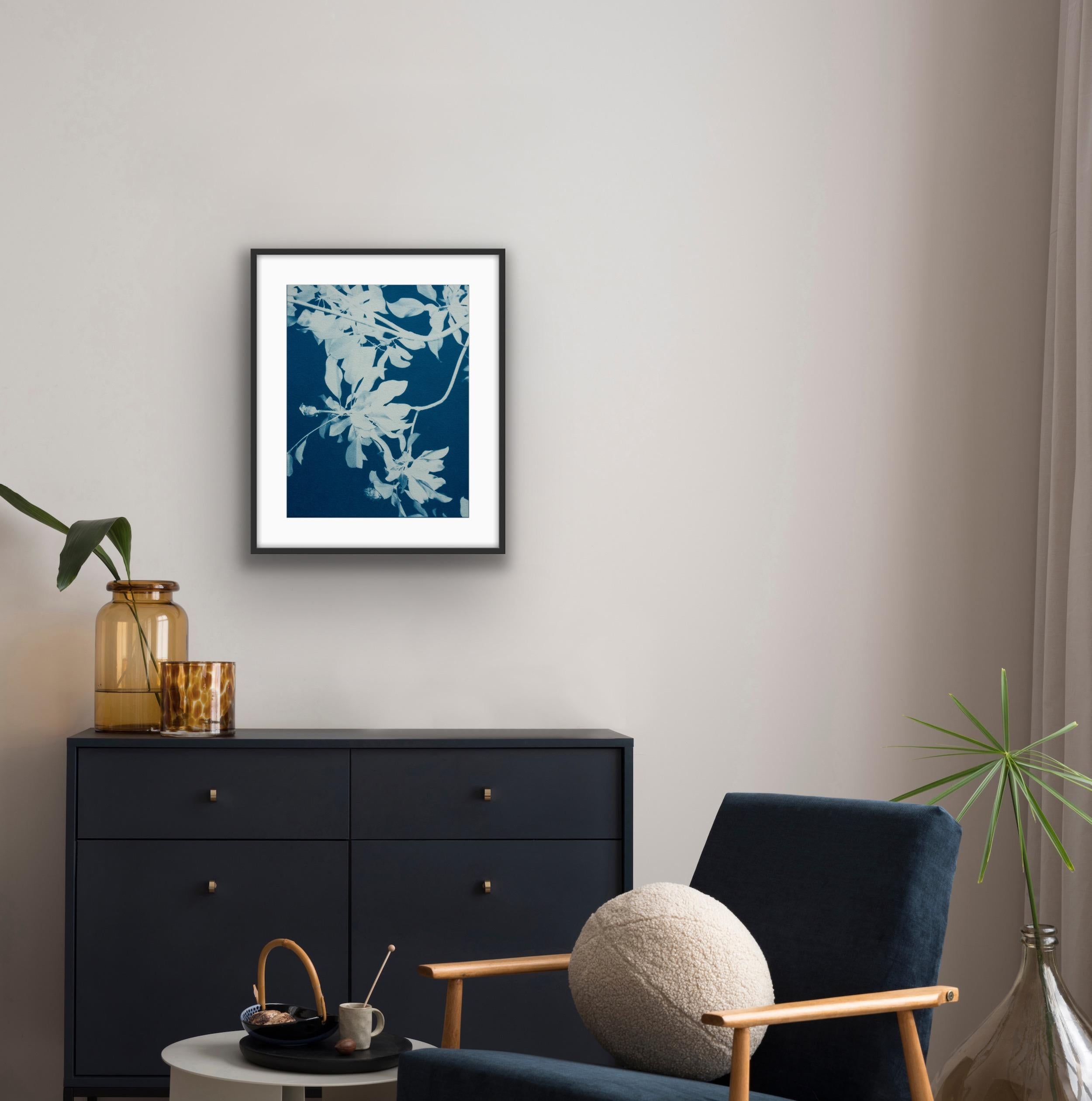 Moonlight Magnolia  (24 x 18 inch hand-printed cyanotype) - Blue Still-Life Print by Christine So