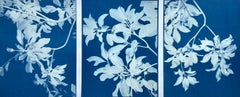 Triptyque Magnolia Moonlight (Set of three 8.5 x 11" cyanotypes imprimés à la main)