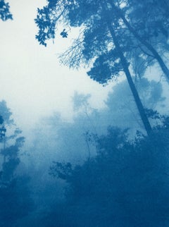 « Brume matinale », cyanotype 35 x 23, paysage contemporain, n° 2 sur 3