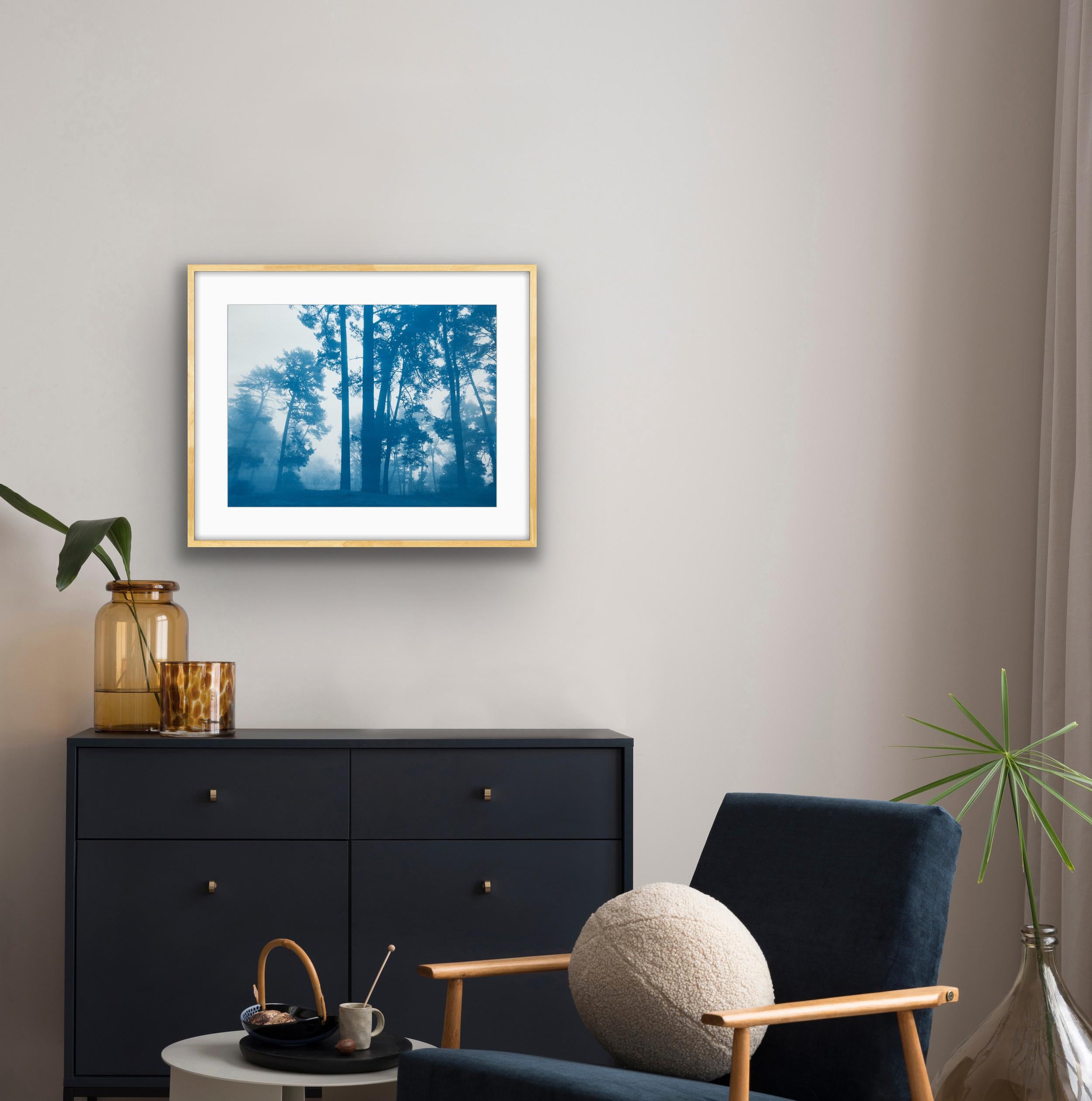 Morning Valley Light (Hand-printed cyanotype, 18 x 24 inches) - Blue Landscape Print by Christine So
