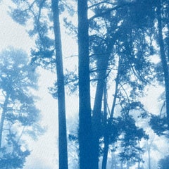Morning Valley Light (Hand-printed cyanotype, 18 x 24 inches)