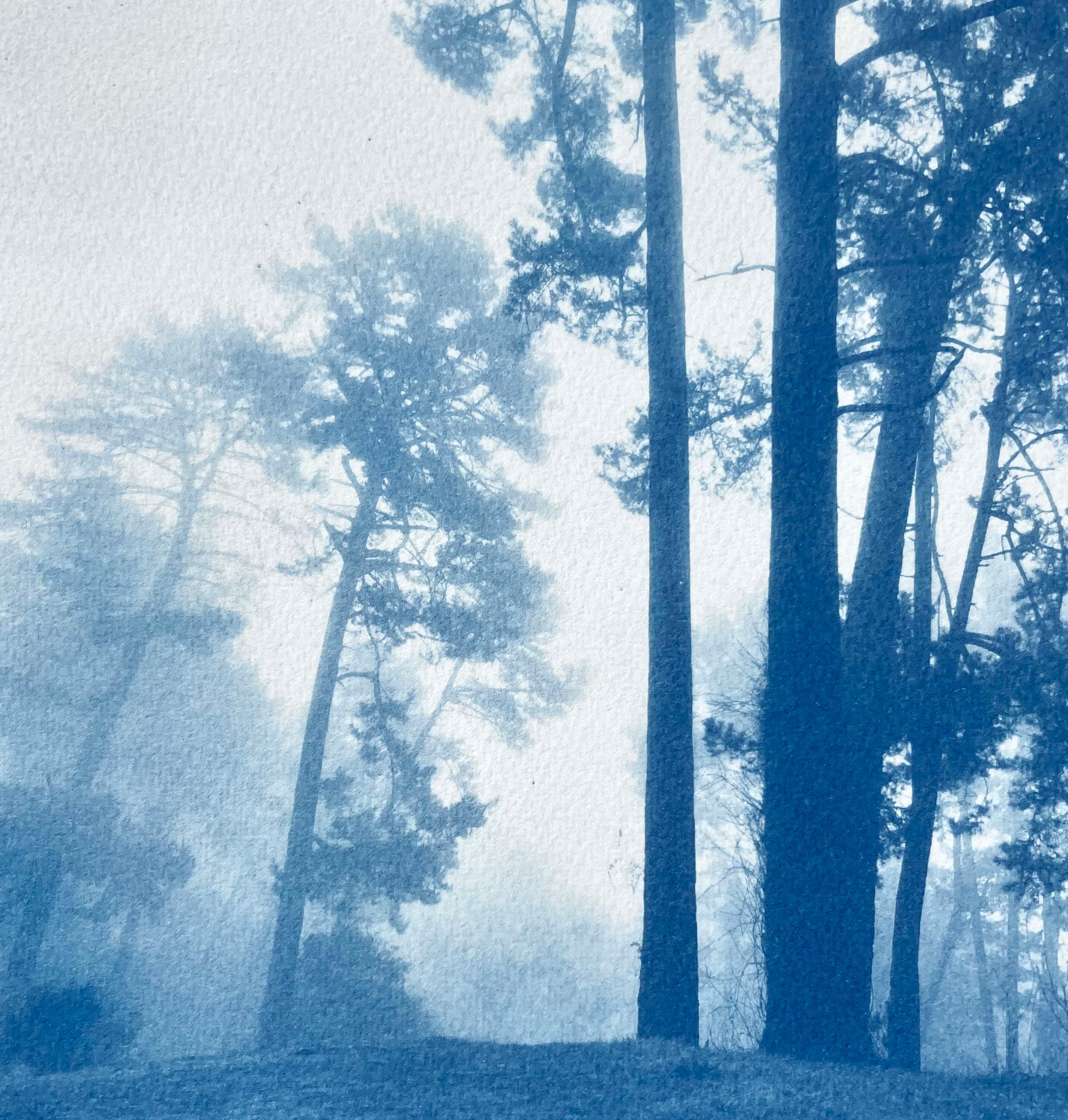Morning Valley Light (Hand-printed cyanotype, 18 x 24 inches) - Realist Print by Christine So