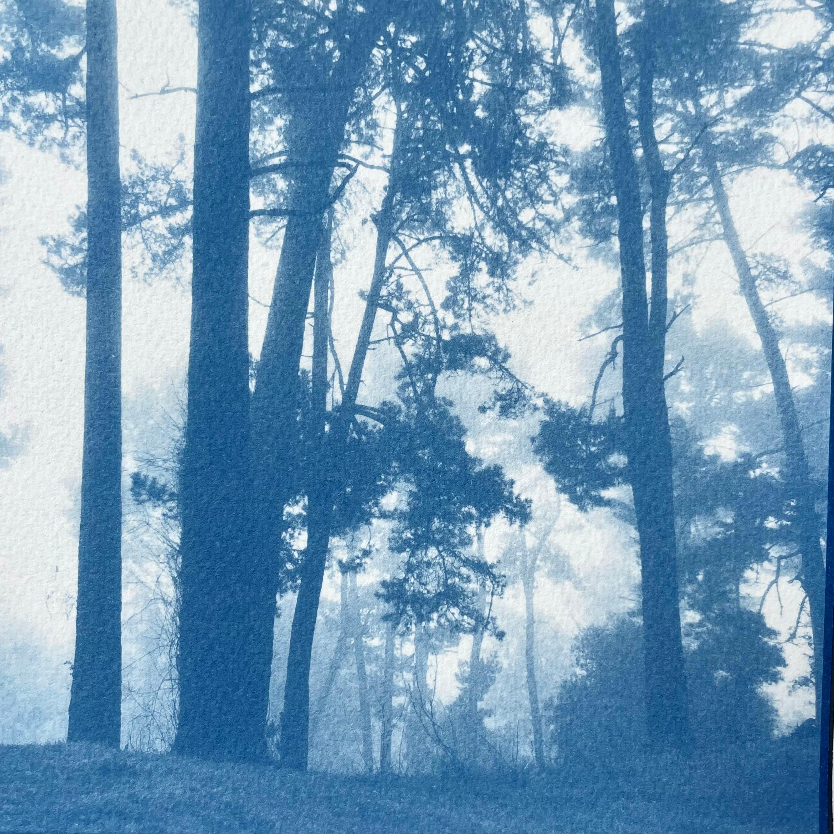 Morning Valley Light (Hand-printed cyanotype, 18 x 24 inches) For Sale 2