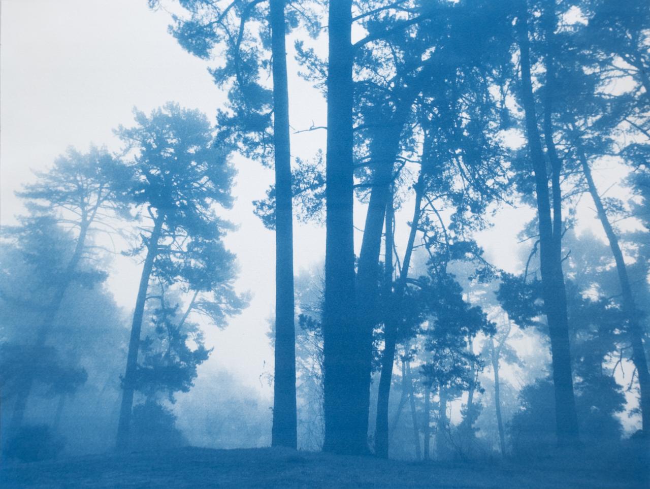 Christine So Landscape Print - Morning Valley Light (Hand-printed cyanotype, 18 x 24 inches)