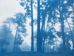 Morning Valley Light (Hand-printed cyanotype, 18 x 24 inches)