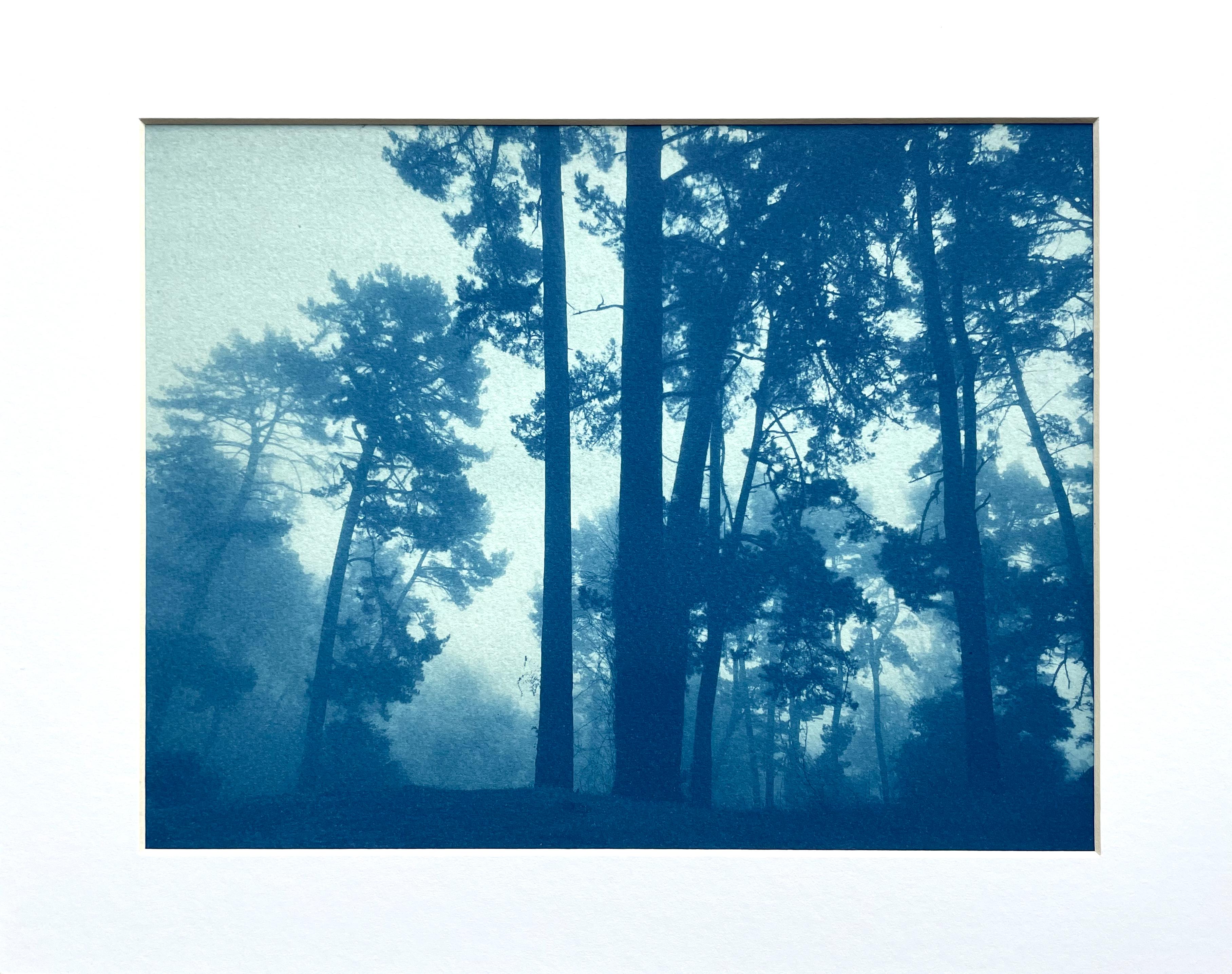 Christine So Landscape Print - Morning Valley Light (hand-printed cyanotype, 8.5x 11 " matted to 11x 14")