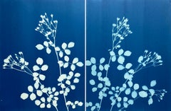 Díptico «Night and Day Rosebud»  (Dos cianotipos impresos a mano, 24 x 18" cada uno)