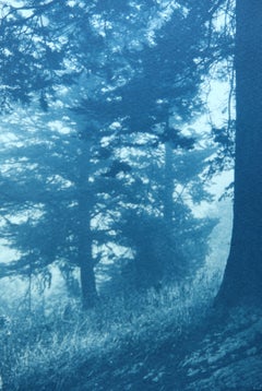 Sortir de la forêt sombre (cyanotype, 8,5 x 11 pouces, éd. 1/3, format paysage)