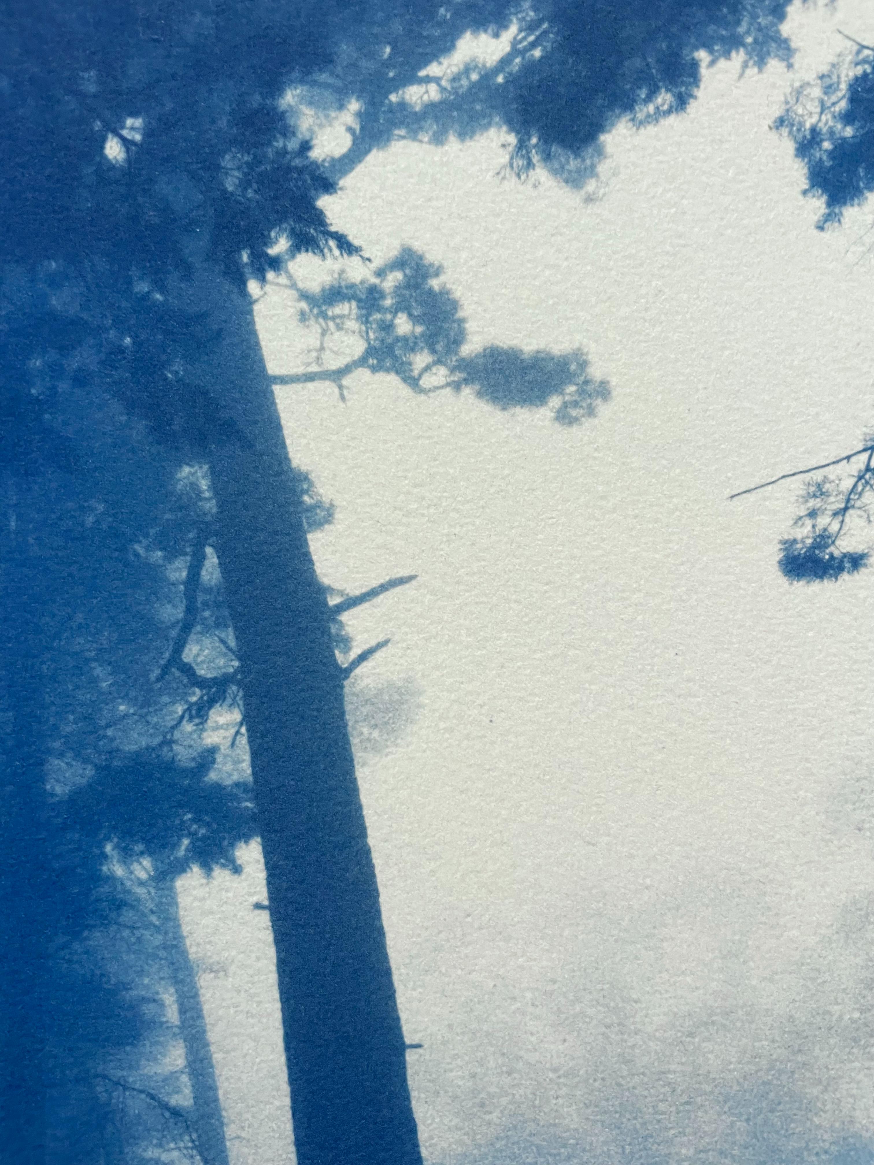 Pine Ridge (24 x 16 inch hand-printed cyanotype) - Contemporary Photograph by Christine So