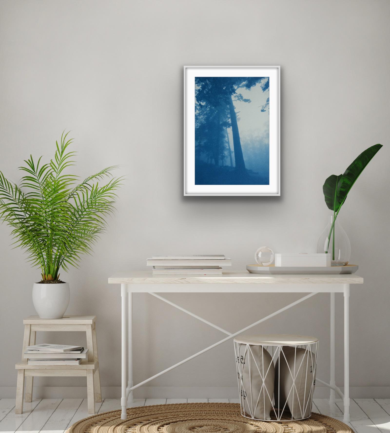 Pine Ridge (24 x 16 inch hand-printed cyanotype) For Sale 1