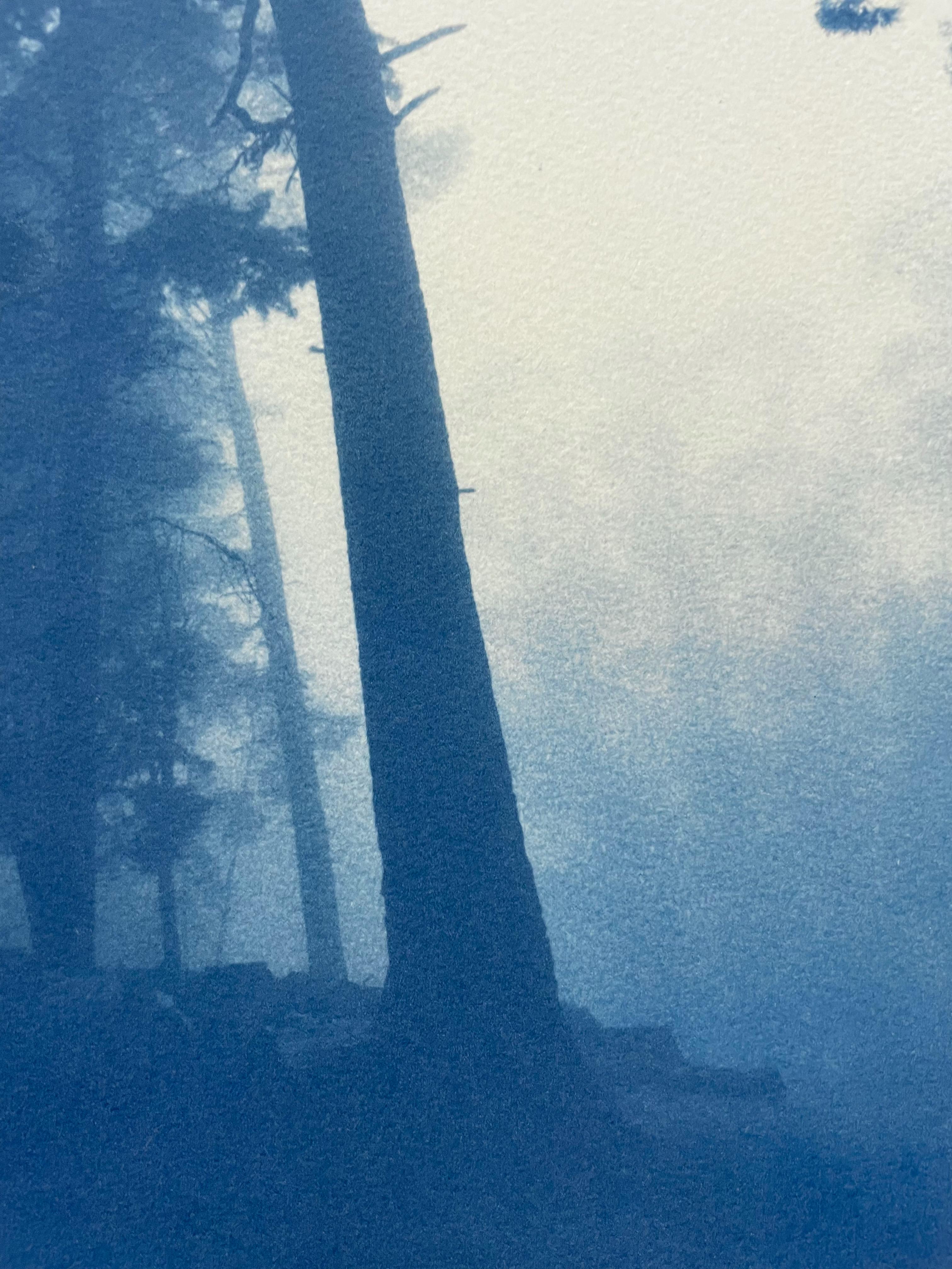 Pine Ridge (29.5 x 18 inch hand-printed cyanotype) - Print by Christine So