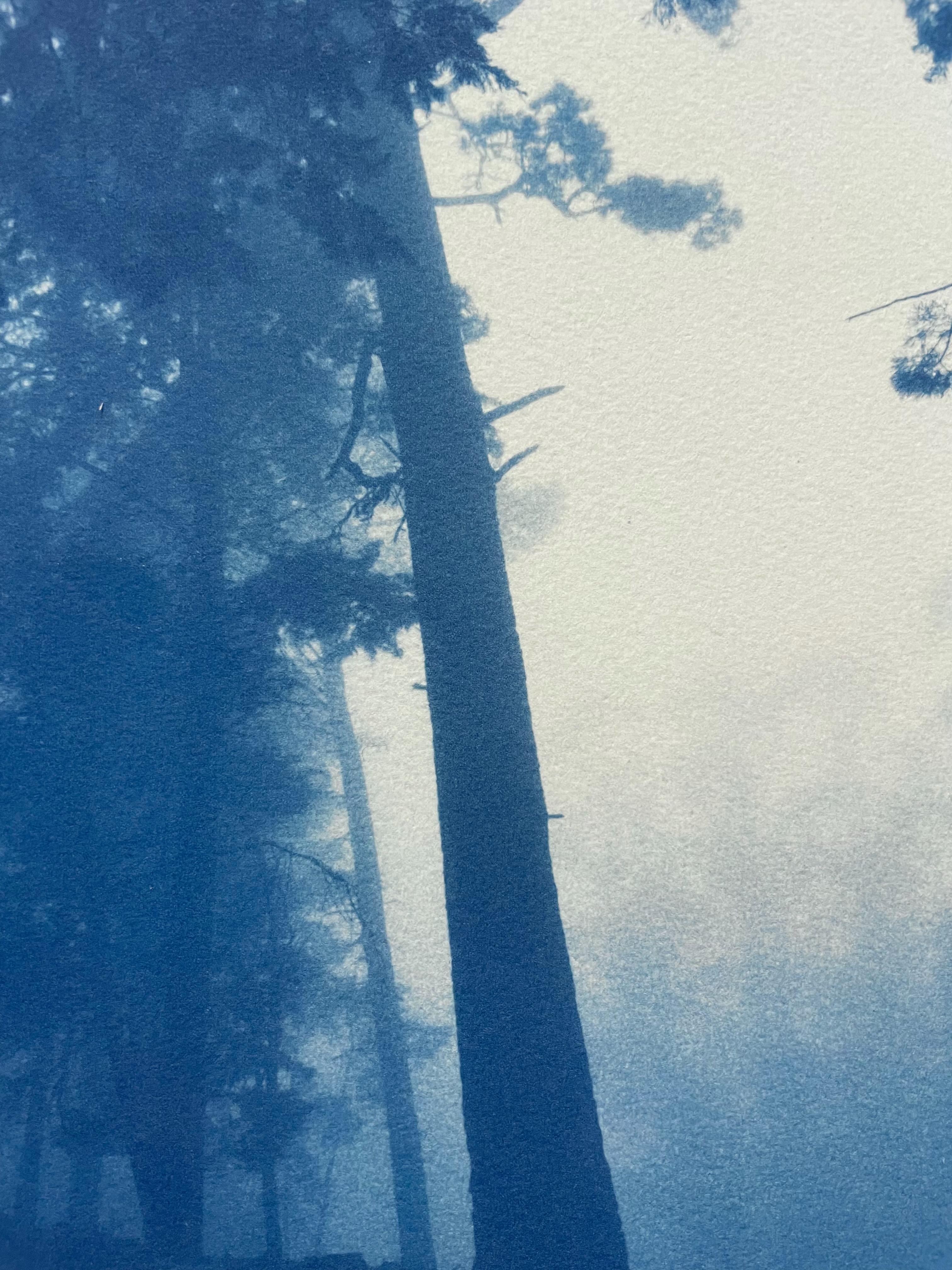 Pine Ridge (29.5 x 18 inch hand-printed cyanotype) - Blue Landscape Print by Christine So