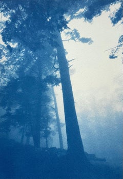 Cyanotype de pin de 29,5 x 18 pouces imprimé à la main)