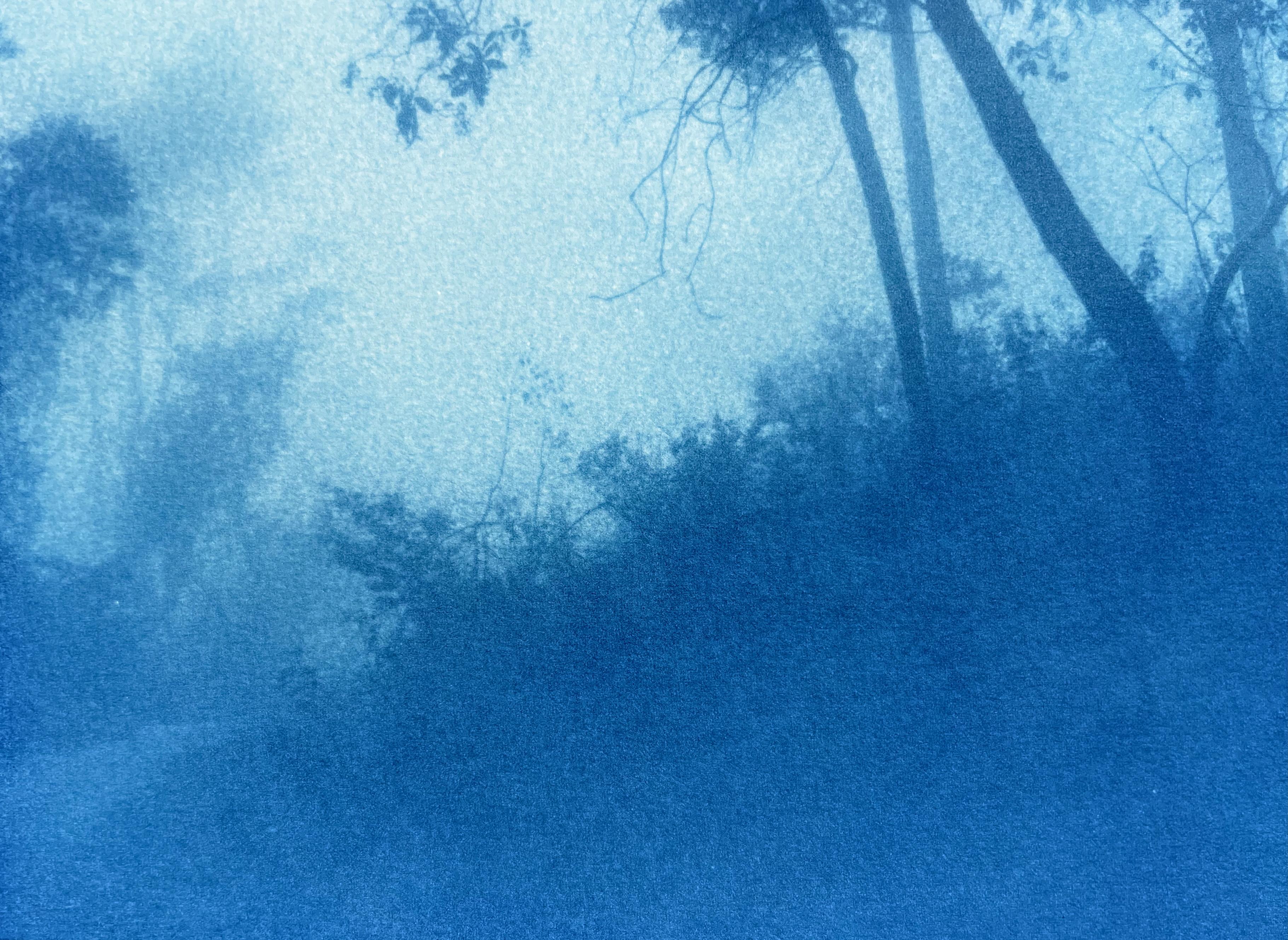 Round the Bend (cyanotype imprimé à la main, 6,5 x 10 pouces. éd. 1 de 5) - Photograph de Christine So