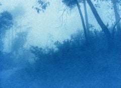 Por la curva (cianotipia impresa a mano de 6,5 x 10 pulgadas. ed. 1 de 5)