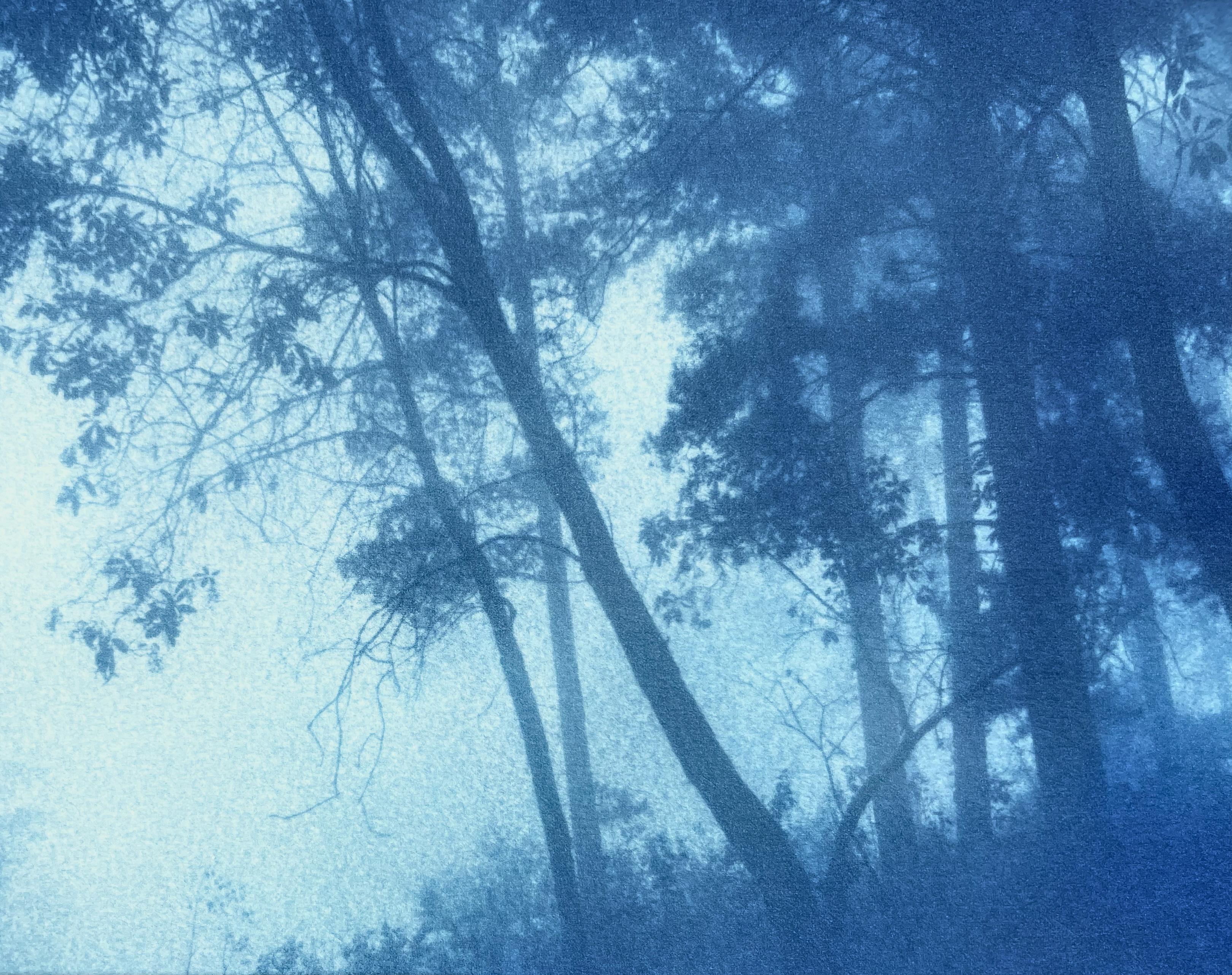 Round the Bend (cyanotype imprimé à la main, 6,5 x 10 pouces. éd. 1 de 5) - Contemporain Photograph par Christine So
