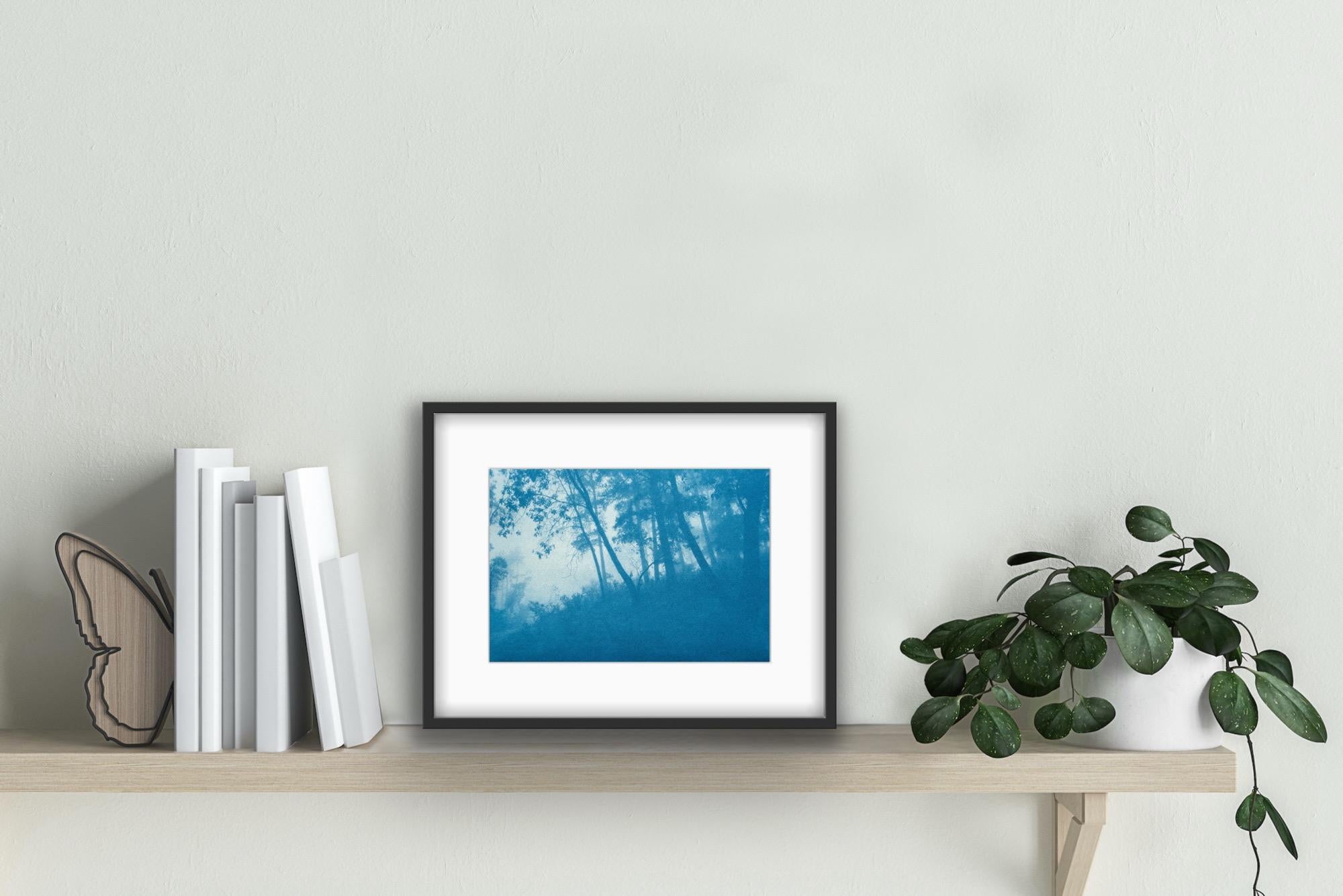 Round the Bend (cyanotype imprimé à la main, 6,5 x 10 pouces. éd. 1 de 5) - Bleu Landscape Photograph par Christine So