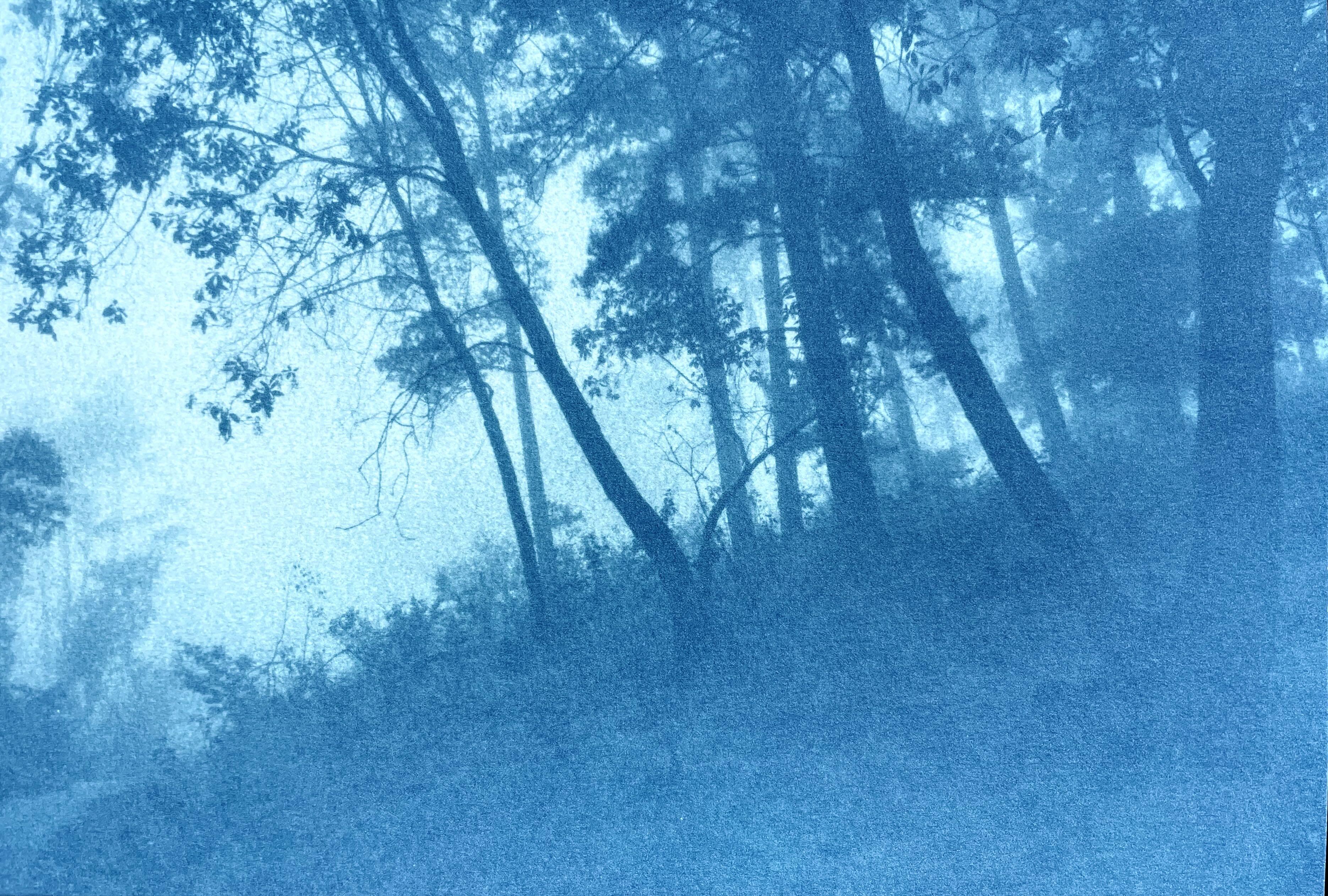 Round the Bend (cyanotype imprimé à la main, 6,5 x 10 pouces. éd. 1 de 5)