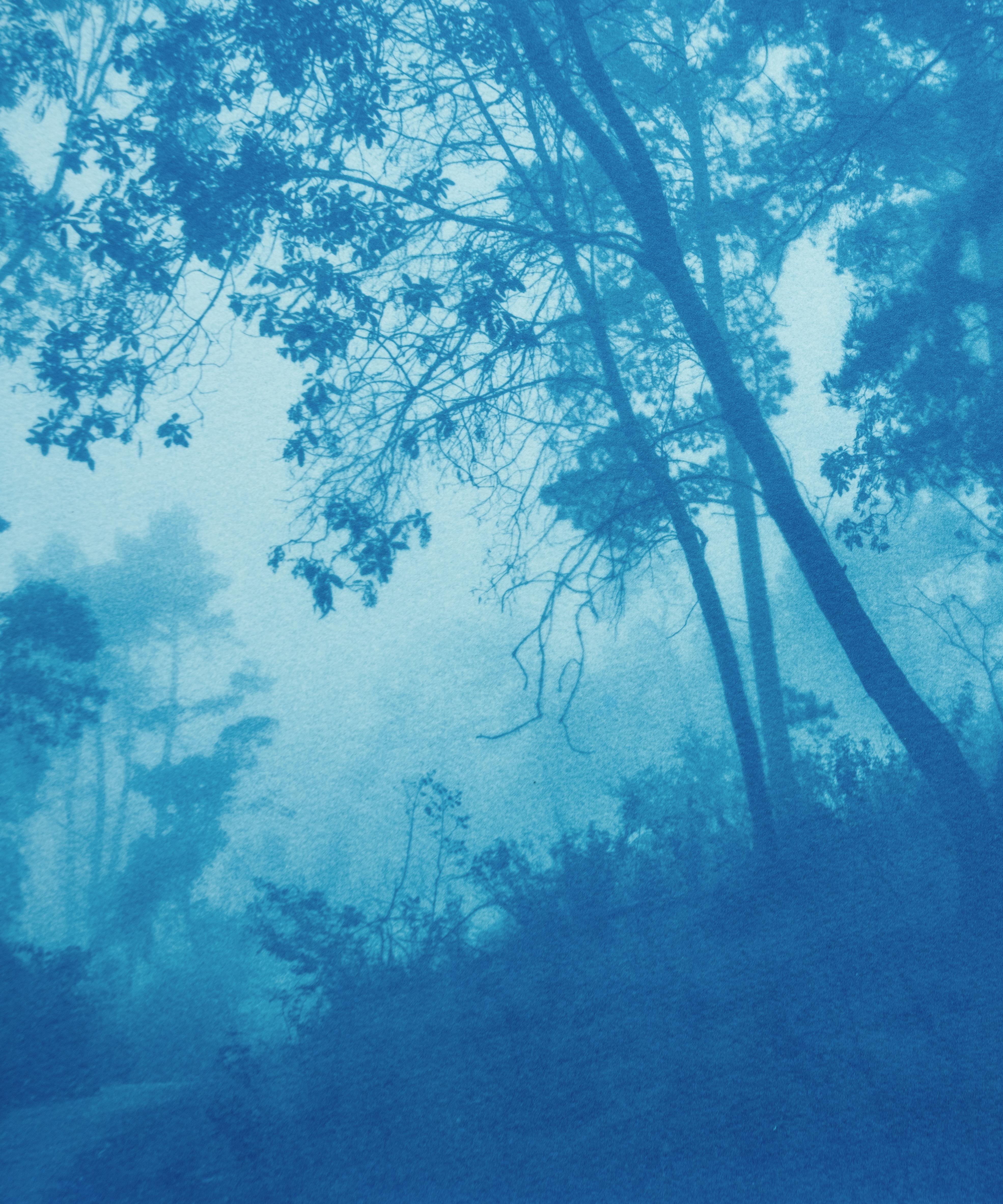 Round the Bend, ed. 1 of 5 (cyanotype imprimé à la main, 12 x 18 pouces) - Print de Christine So