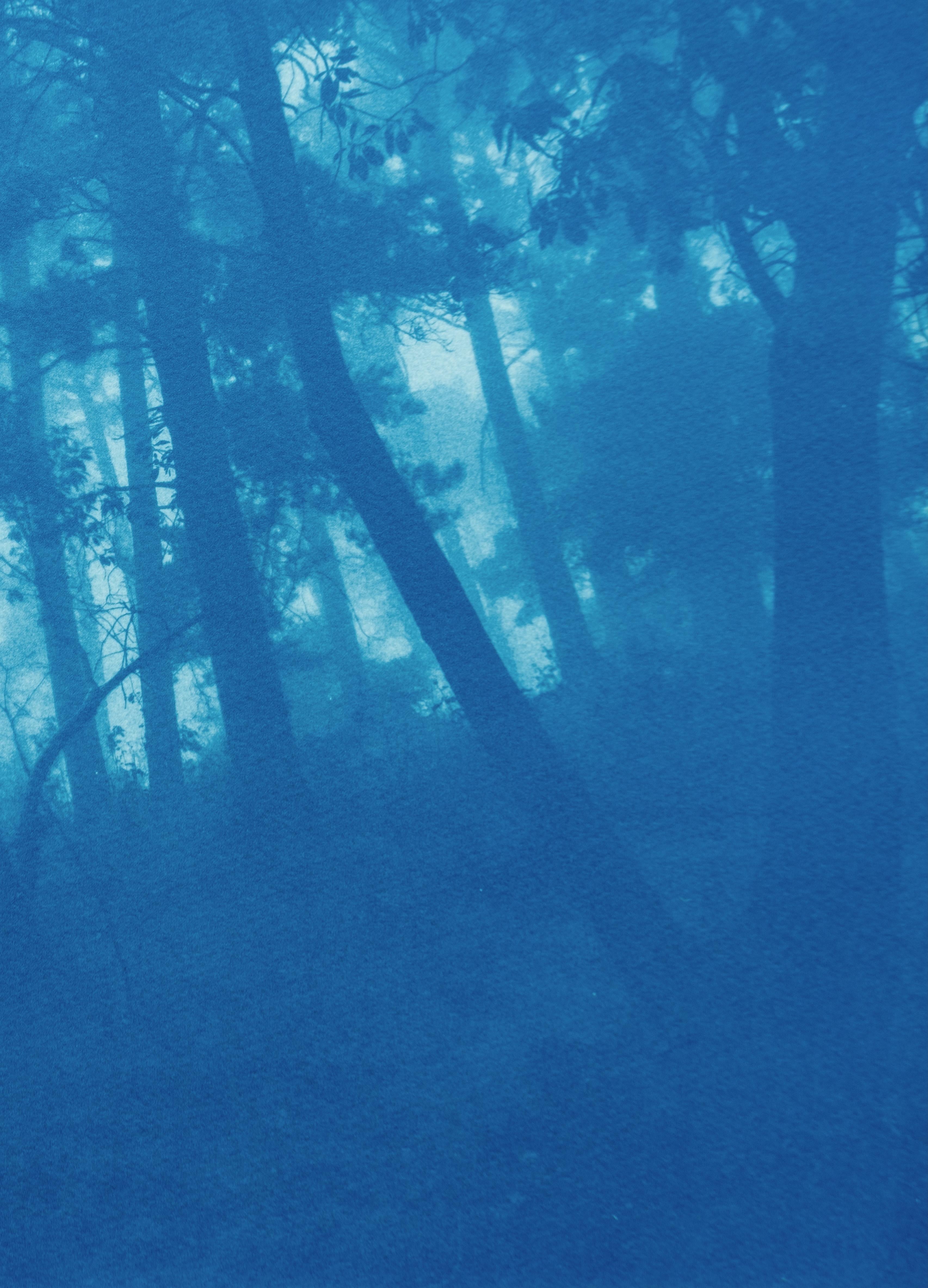 Round the Bend, ed. 1 of 5 (cyanotype imprimé à la main, 12 x 18 pouces) - Contemporain Print par Christine So