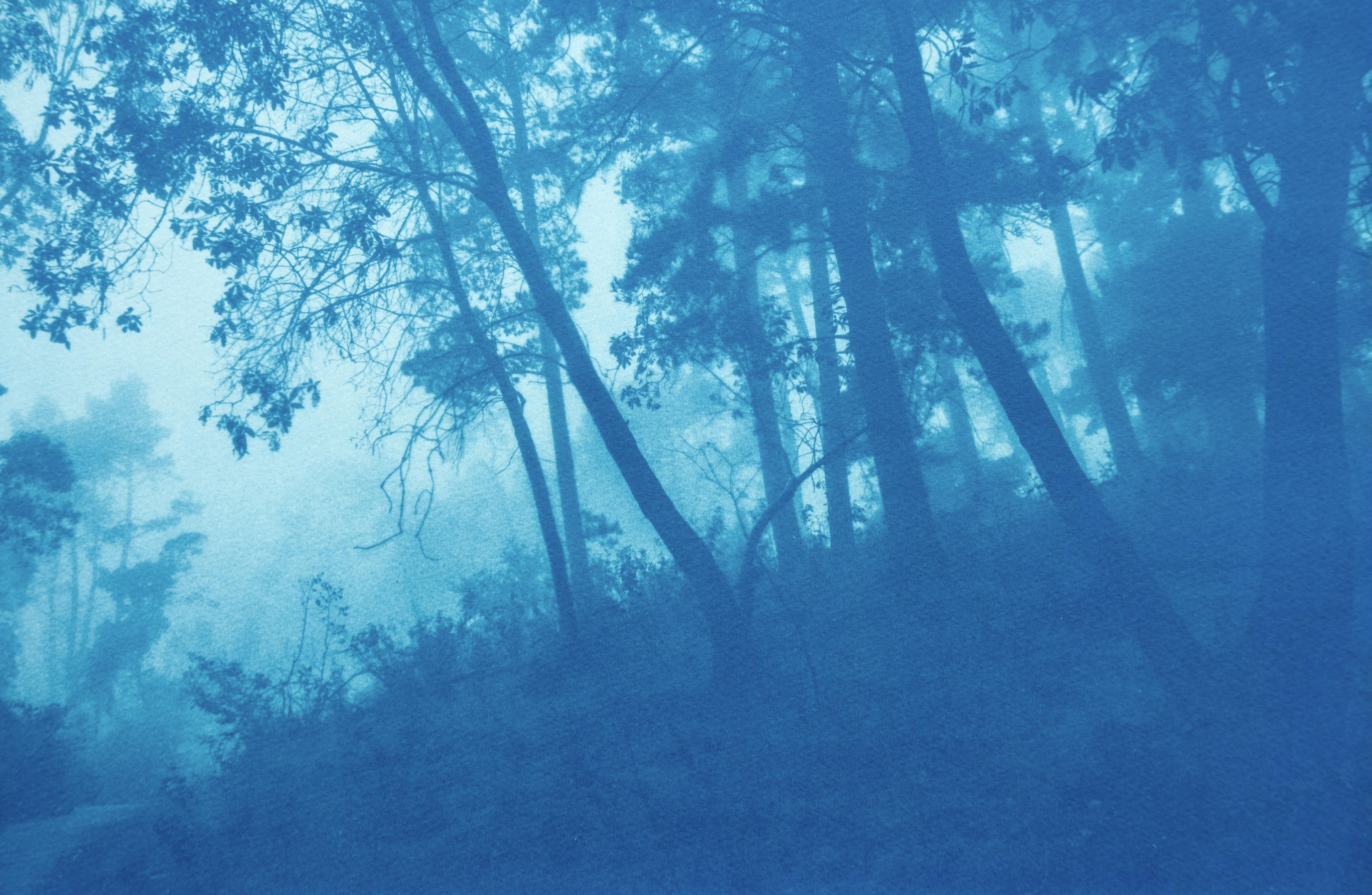 Landscape Print Christine So - Round the Bend, ed. 1 of 5 (cyanotype imprimé à la main, 12 x 18 pouces)