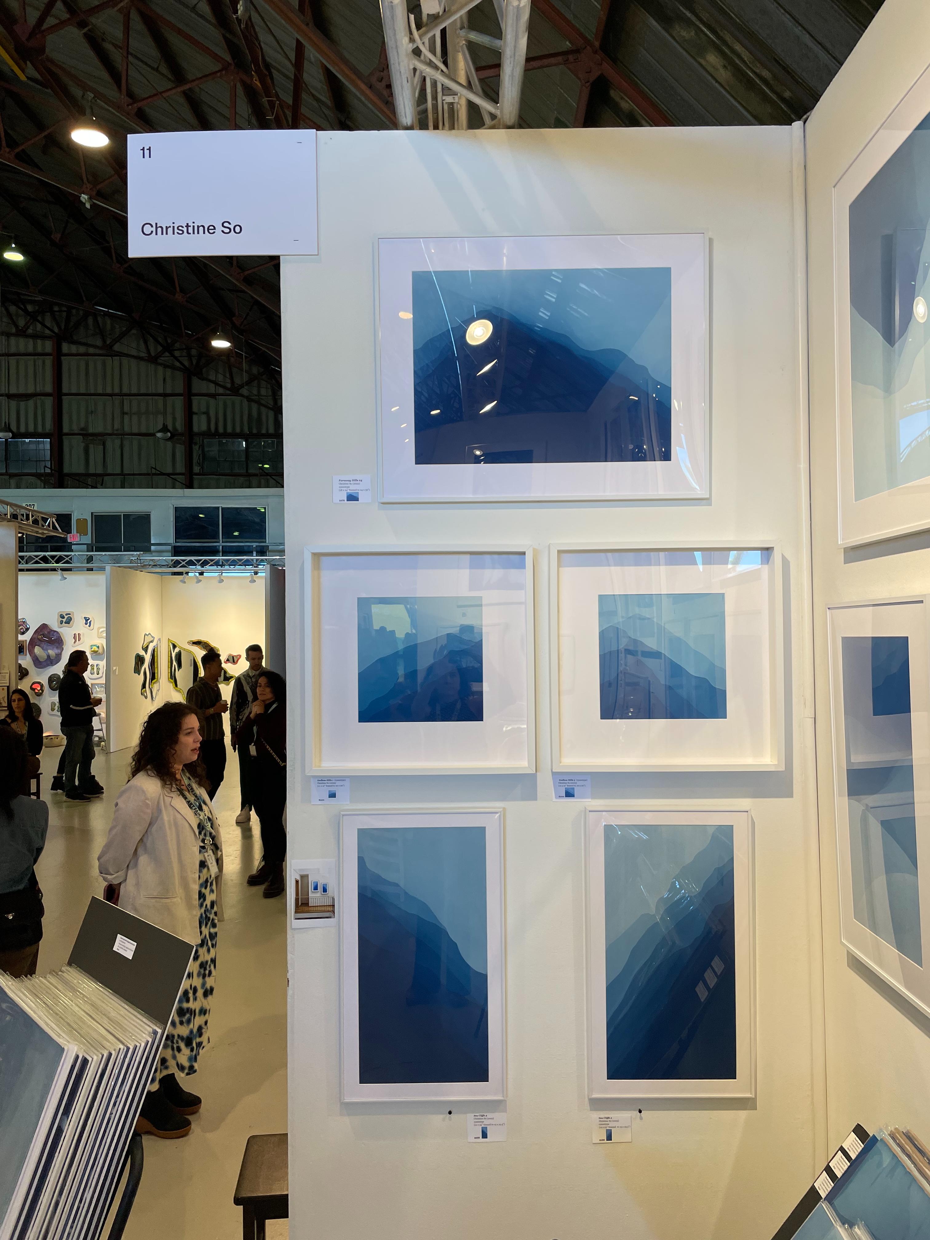 Though it resembles a giant abstract watercolor painting owing to its soft gradations and luminous quality, this is a form of photography called a cyanotype, photogram or sun print. This is a multiple-exposure lensless photograph or abstract