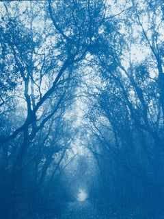 Christine So - Shady Path, edition 1 of 3 (hand-printed cyanotype, 12 x 9" matted to 14 x 11") Shady Path, edition 1 of 3 (hand-printed cyanotype, 12 x 9" matted to 14 x 11")