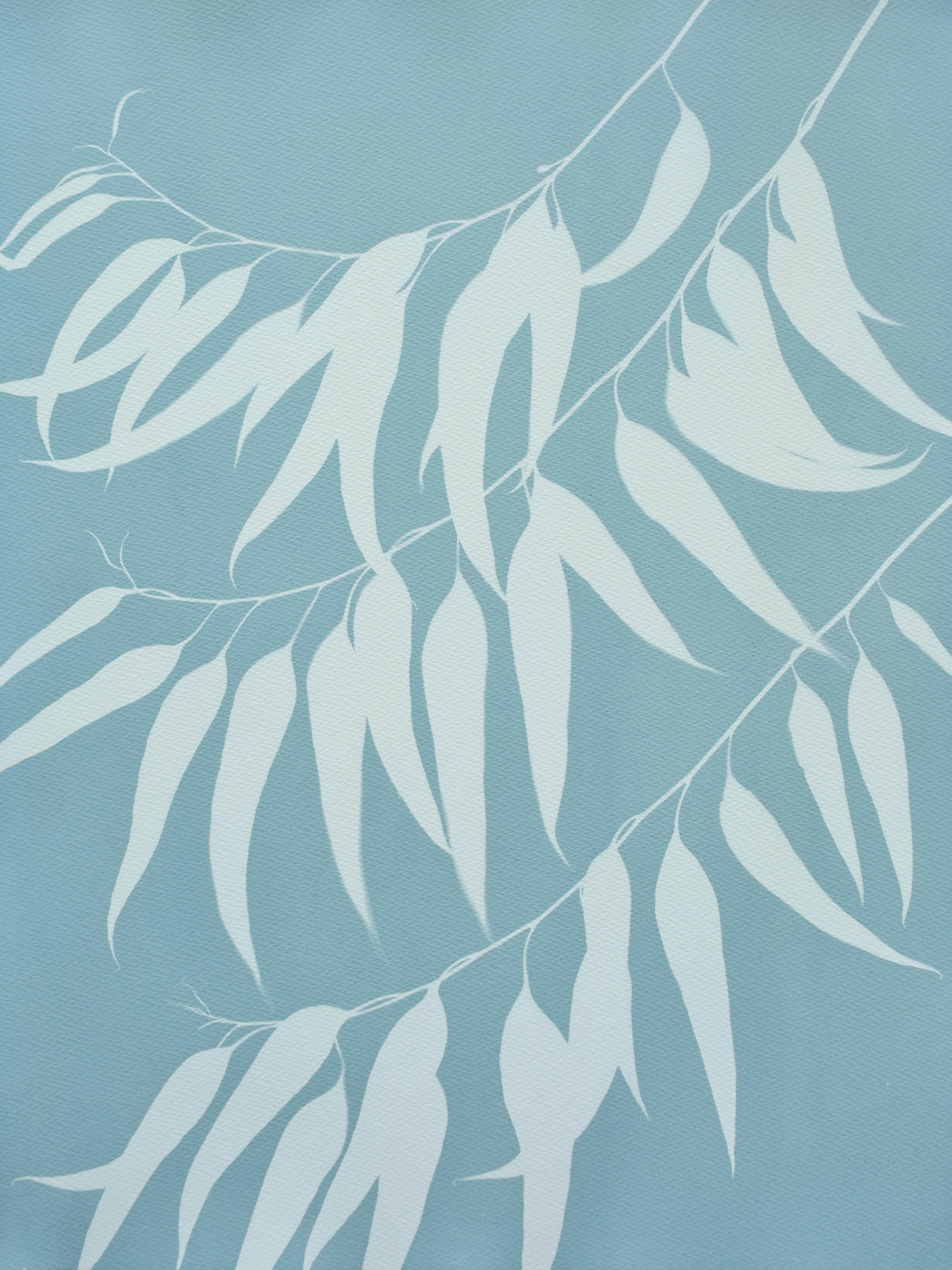 Silver Eucalyptus I (cyanotype imprimé à la main)