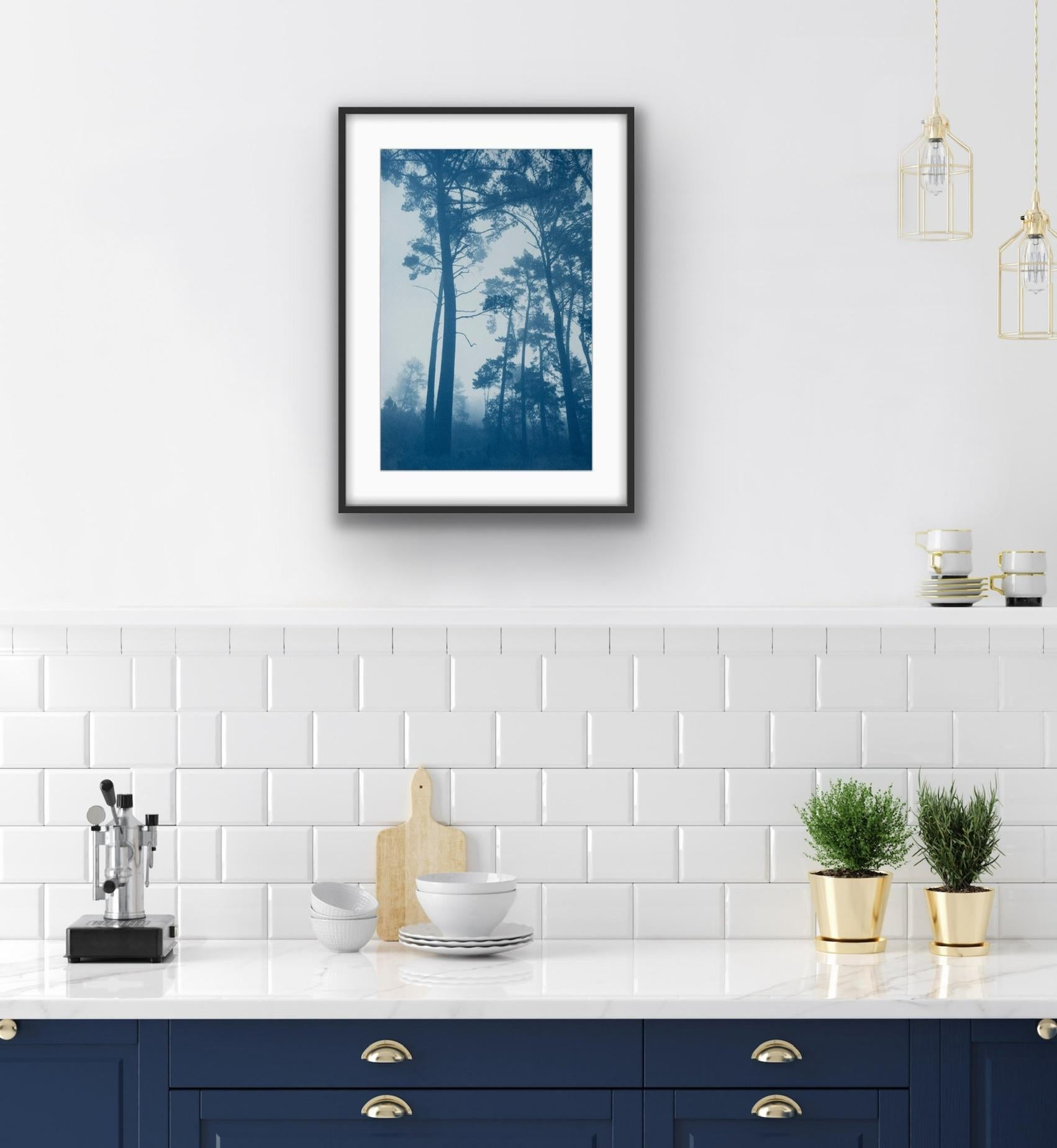 Brand-new addition to the Foggy Woods Collection of forests in northern California near San Francisco. New as of May 14, 2024. This is a hand-printed contact photograph using the antique cyanotype process and big negatives the same size as the final