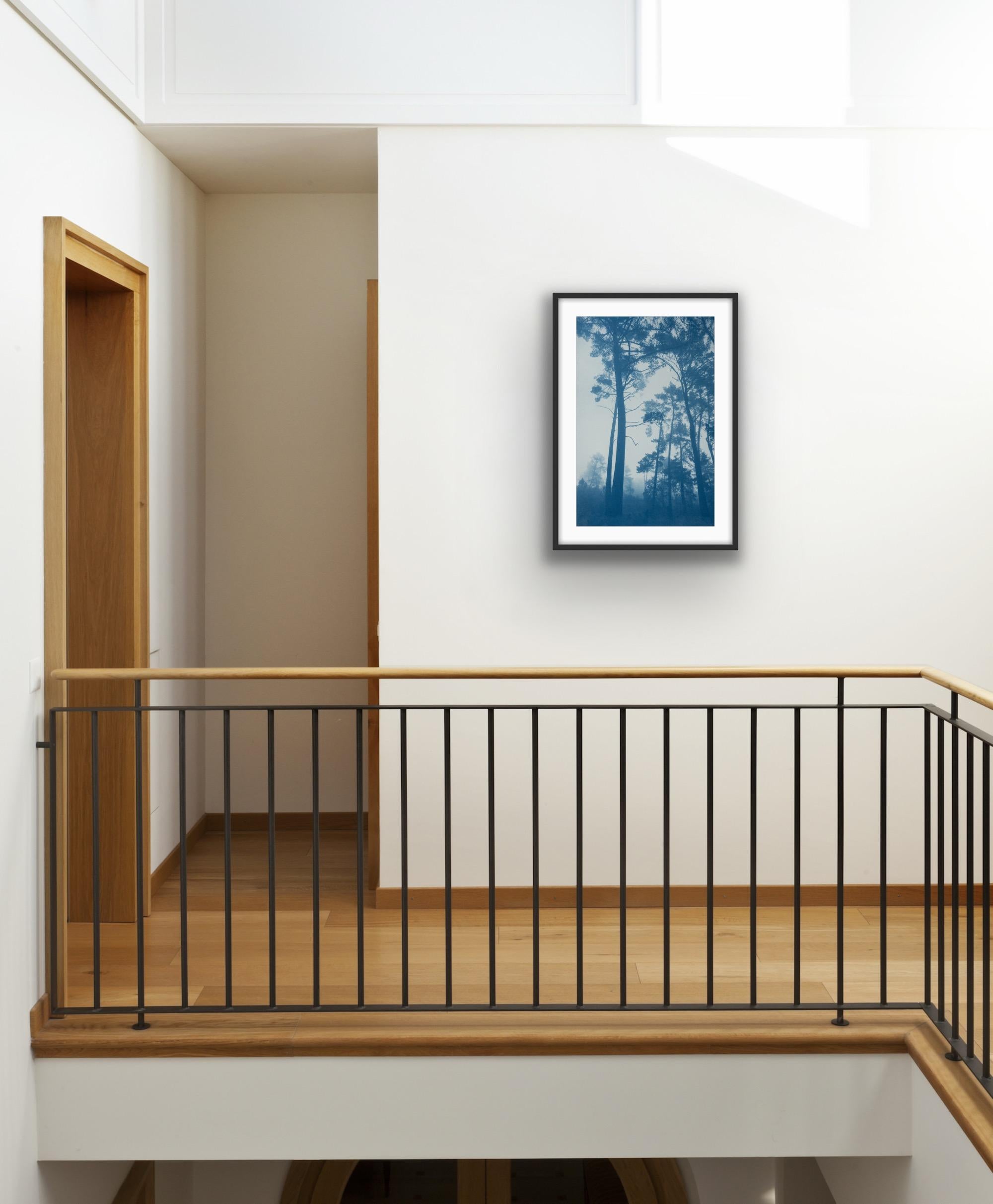 Schlanke Kiefern (Handbedruckte Cyanotypie,  24 x 15 Zoll) (Blau), Landscape Print, von Christine So