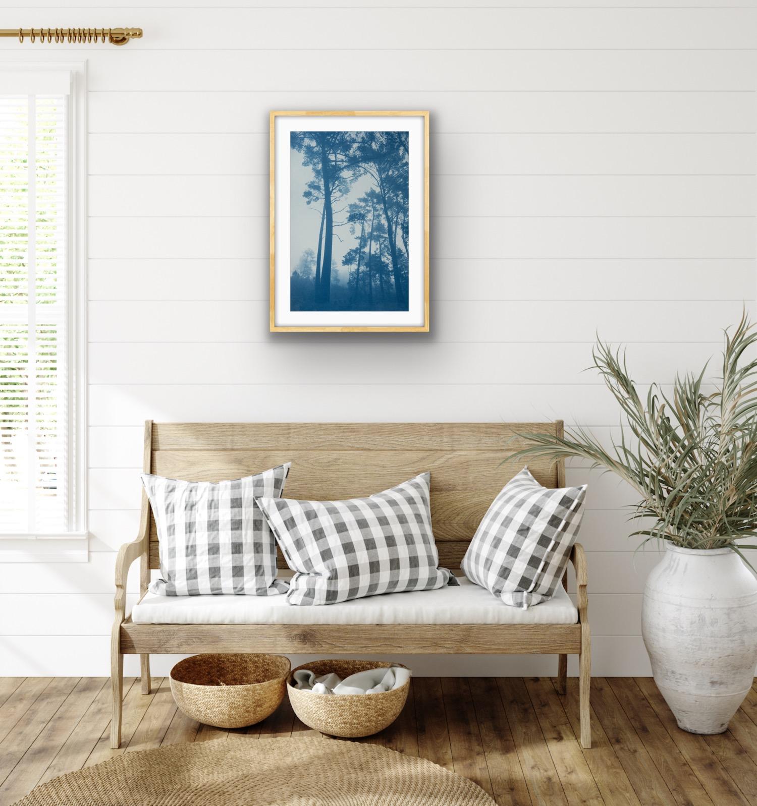 Brandneue Ergänzung der Foggy Woods Collection von Wäldern in Nordkalifornien nahe San Francisco. Neu ab dem 14. Mai 2024. Es handelt sich um eine handgedruckte Kontaktfotografie nach dem antiken Cyanotypie-Verfahren mit großen Negativen in der