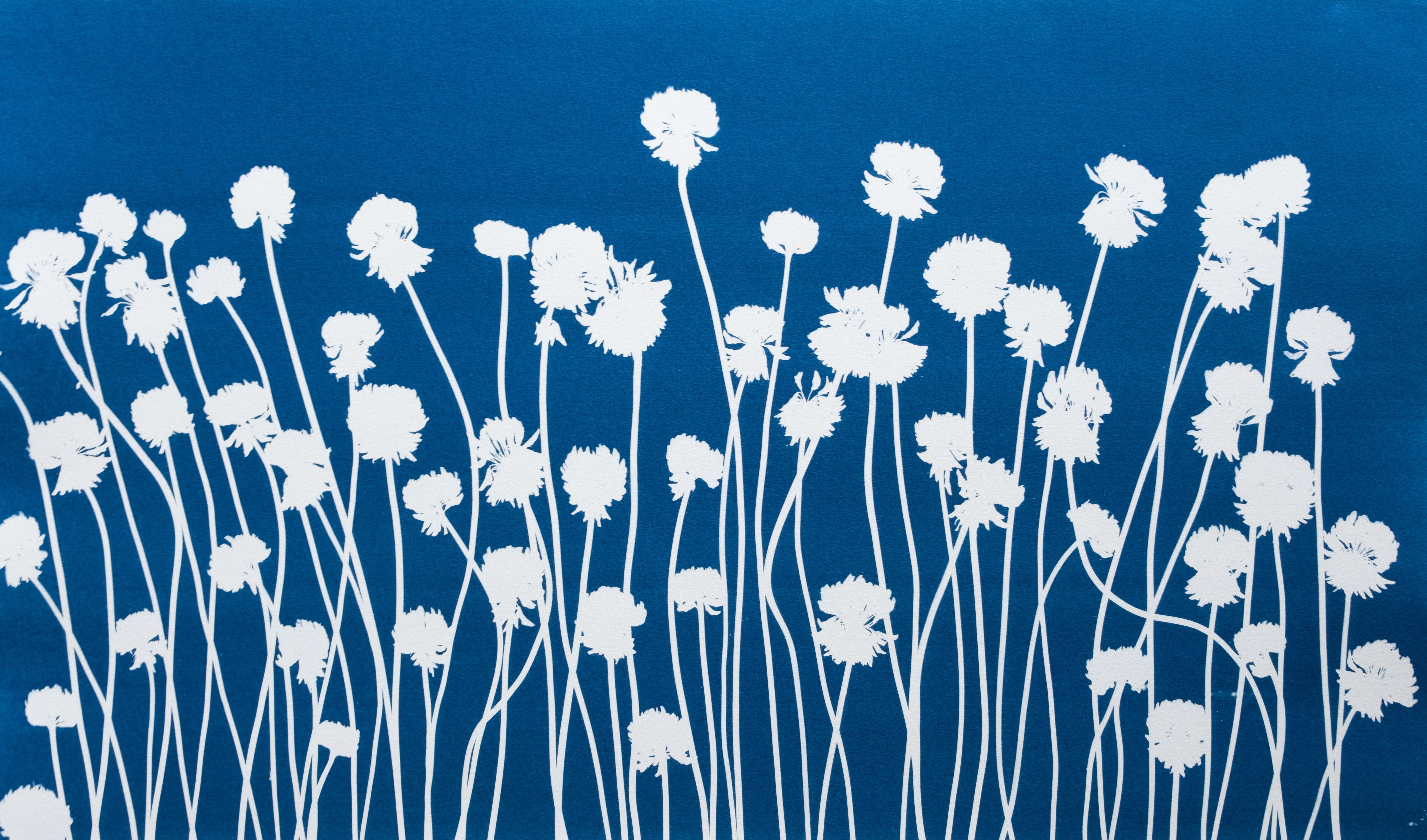 Trébol de primavera I (cianotipia botánica impresa a mano, 14 x 24 pulgadas)