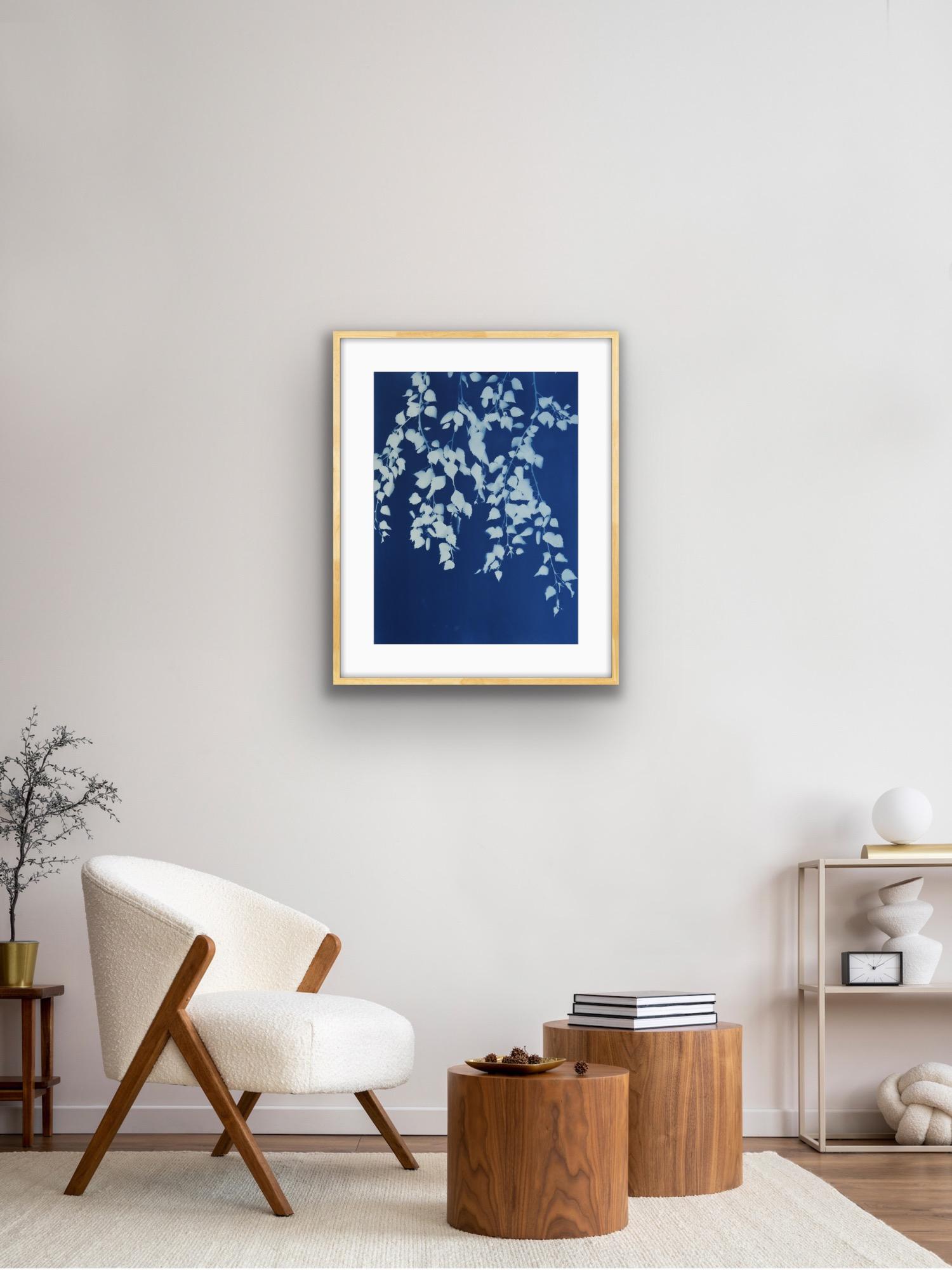Summer Night ( 24 x 18 inch hand-printed cyanotype) - Print by Christine So