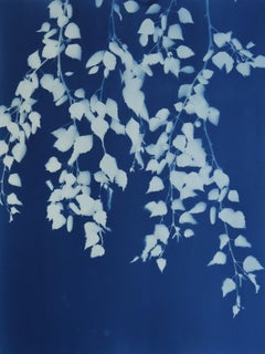 Summer Night ( 24 x 18 inch hand-printed cyanotype)
