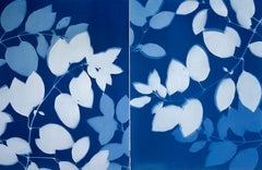 Summer Trees Diptych  (Two hand-printed botanical cyanotypes, 24 x 18" each)