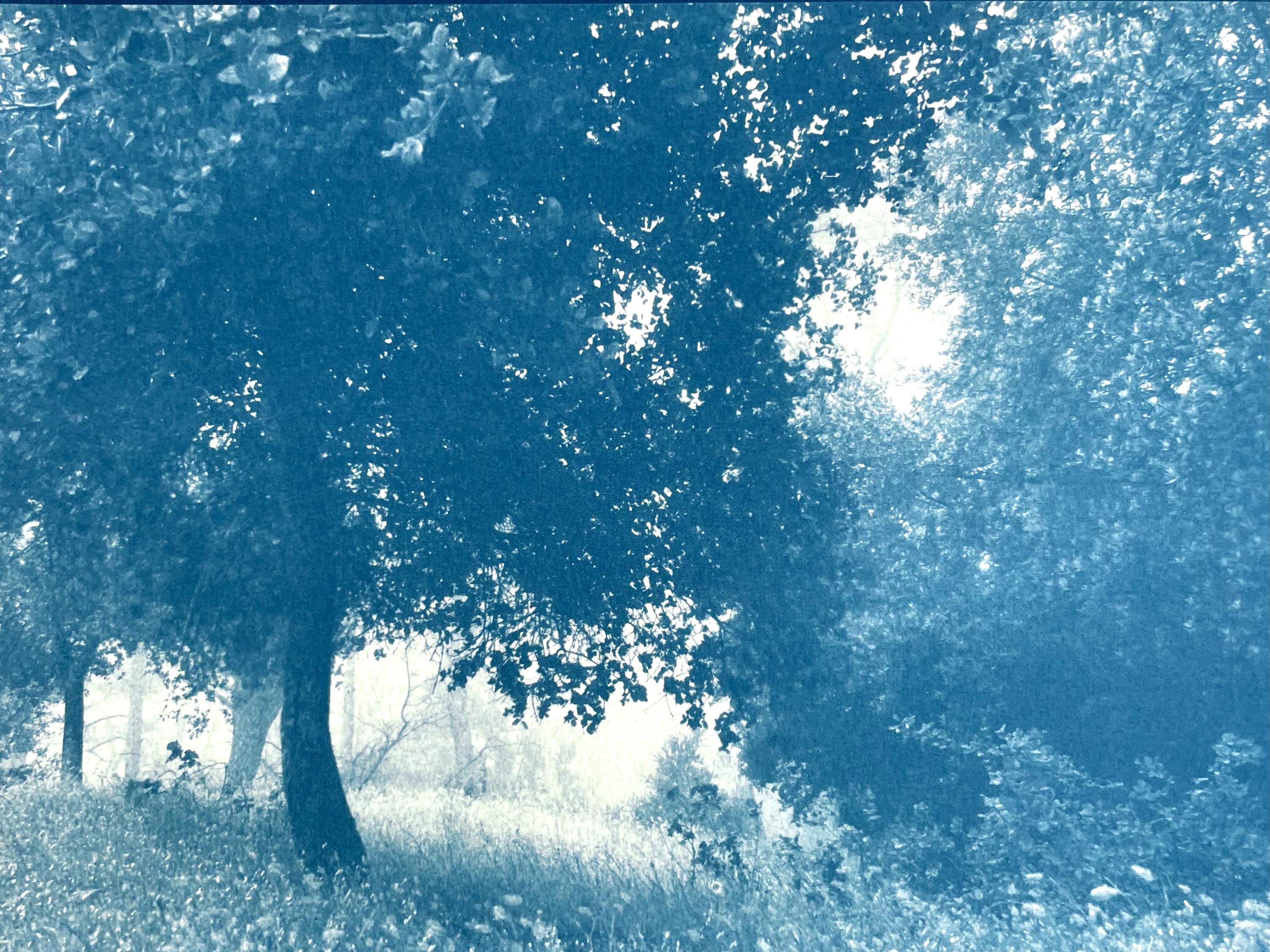 Landscape Print Christine So - Sunlight on the Meadow (cyanotype imprimé à la main, 8,5 x 11 pouces)