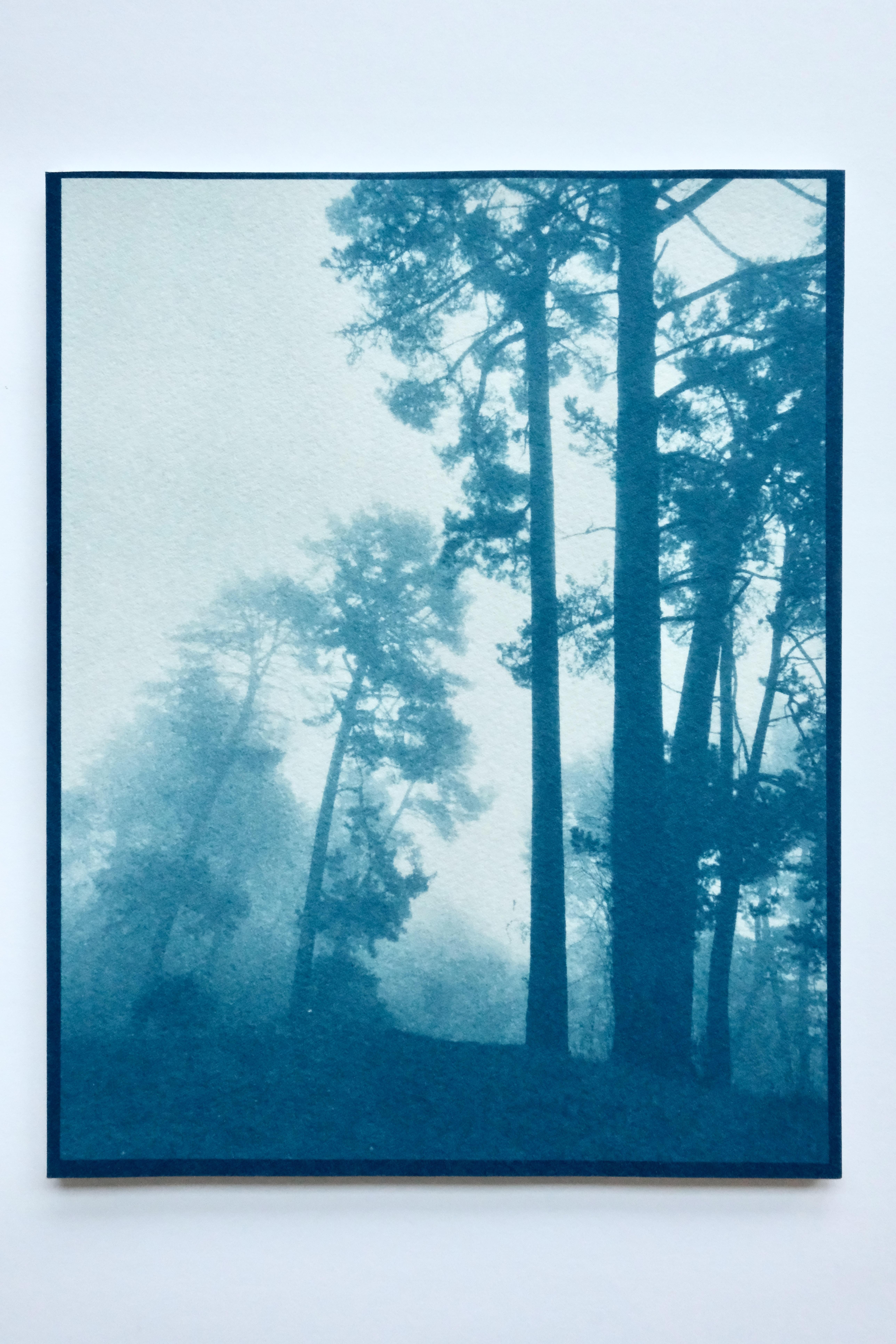 Amanecer despejado (cianotipia de 11 x 8,5 pulgadas impresa a mano) - Print de Christine So