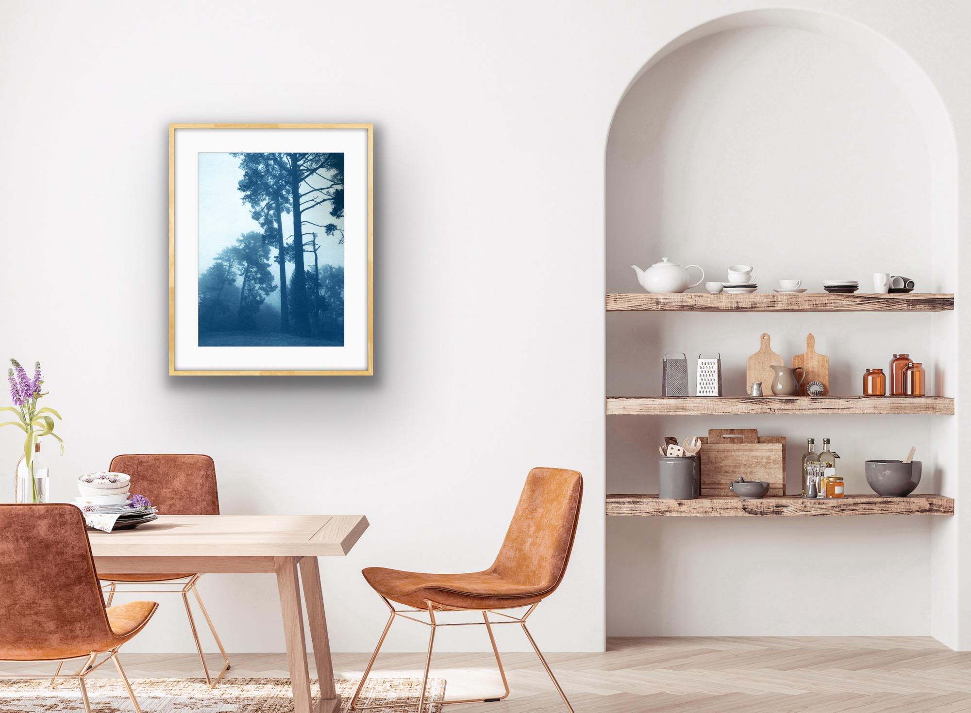Sunrise Clearing (24 x 18 inch hand-printed cyanotype) - Contemporary Print by Christine So