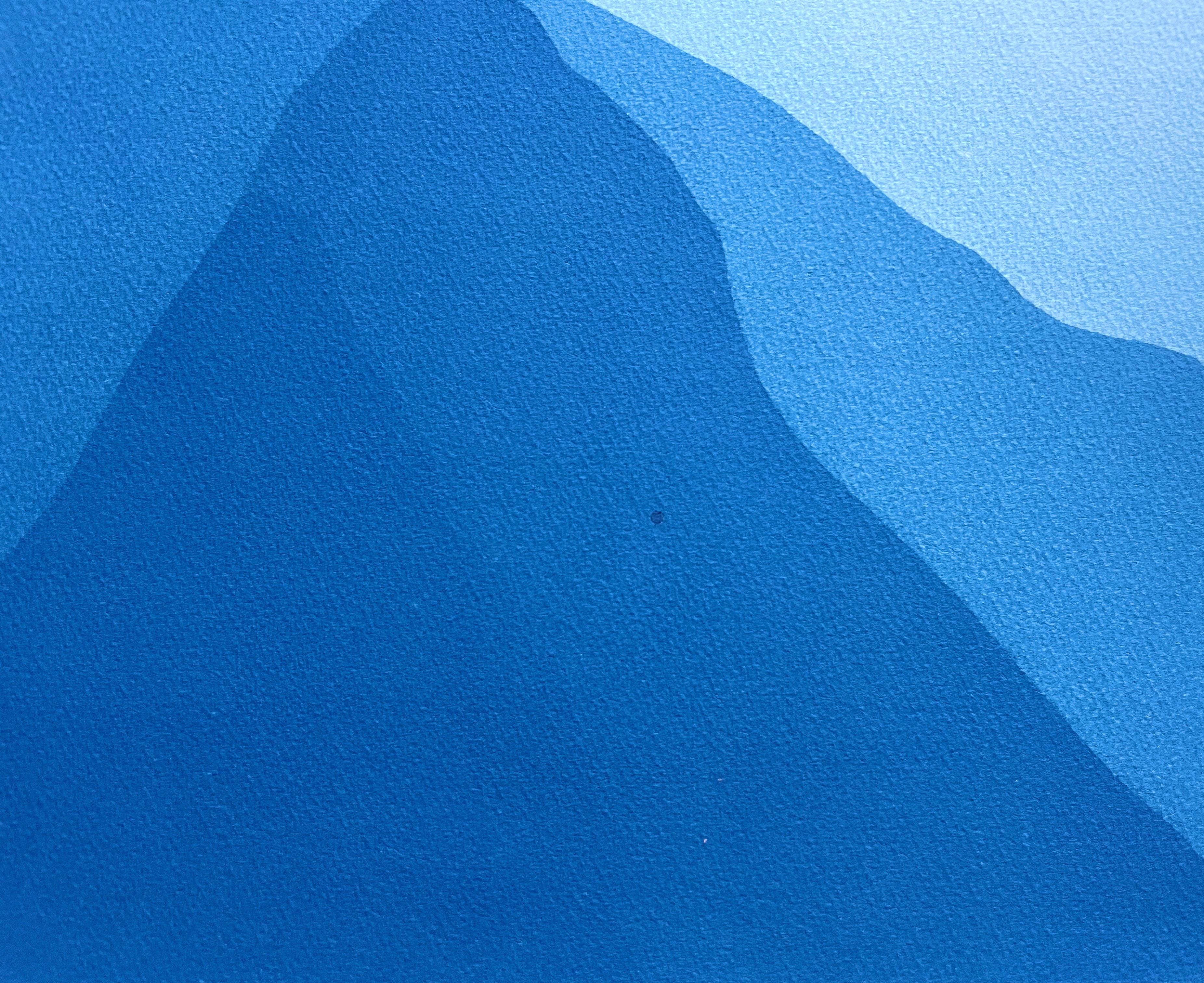 Bien qu'elle ressemble à une aquarelle abstraite géante en raison de ses gradations douces et de sa qualité lumineuse, il s'agit d'une forme de photographie appelée cyanotype, photogramme ou tirage au soleil. Il s'agit d'une photographie sans