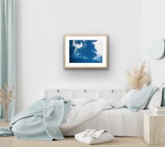 Sunrise Oak Cyanotype Photograph, Hand-Printed, 18x24", Contemporary