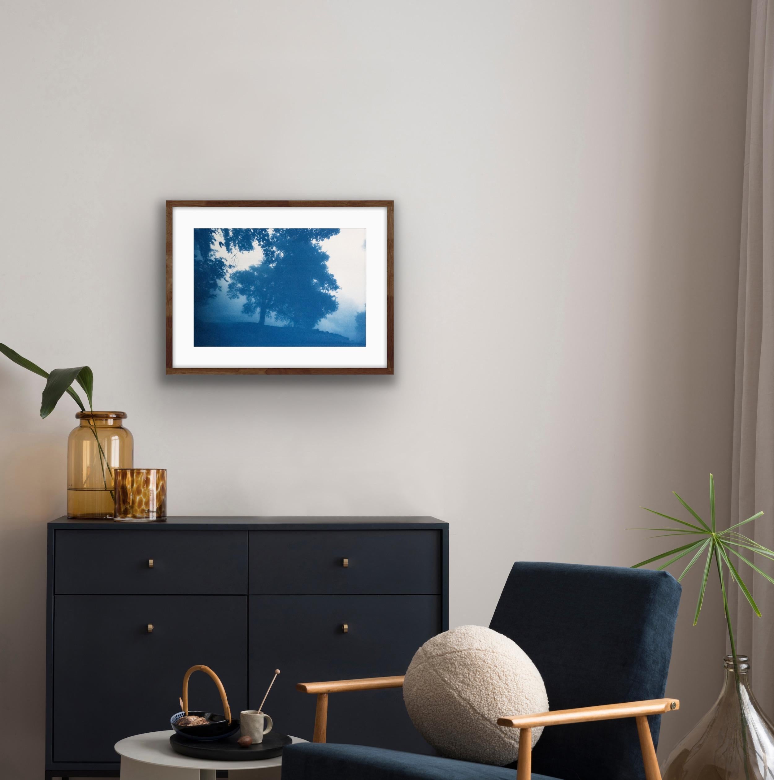 Chêne Sunrise (18 x 24 pouces) sérigraphié à la main - Contemporain Print par Christine So