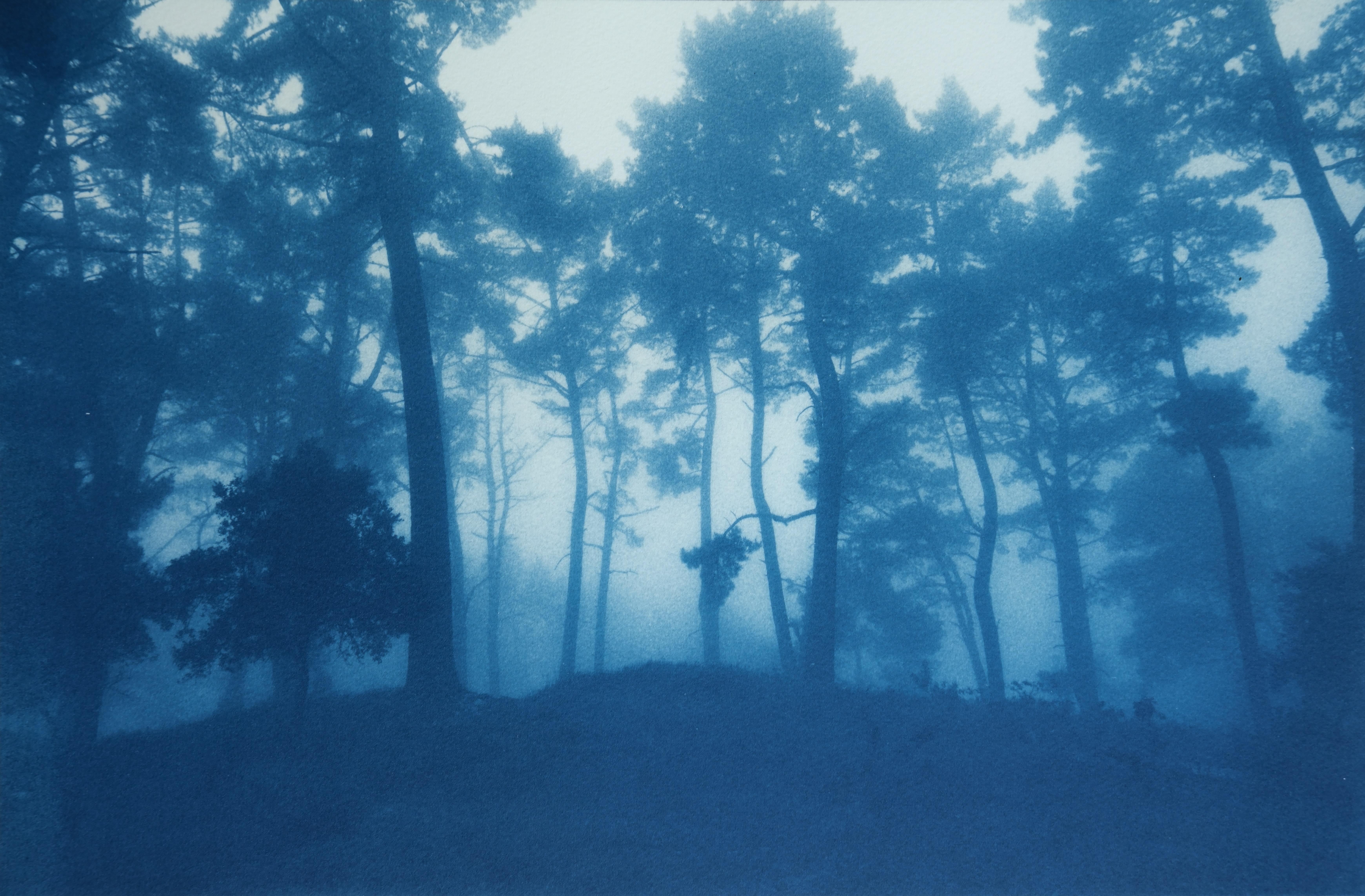Christine So Landscape Photograph - Sunrise Ridge, edition 2 of 10 (Hand-printed cyanotype, 16 x 24 inches)