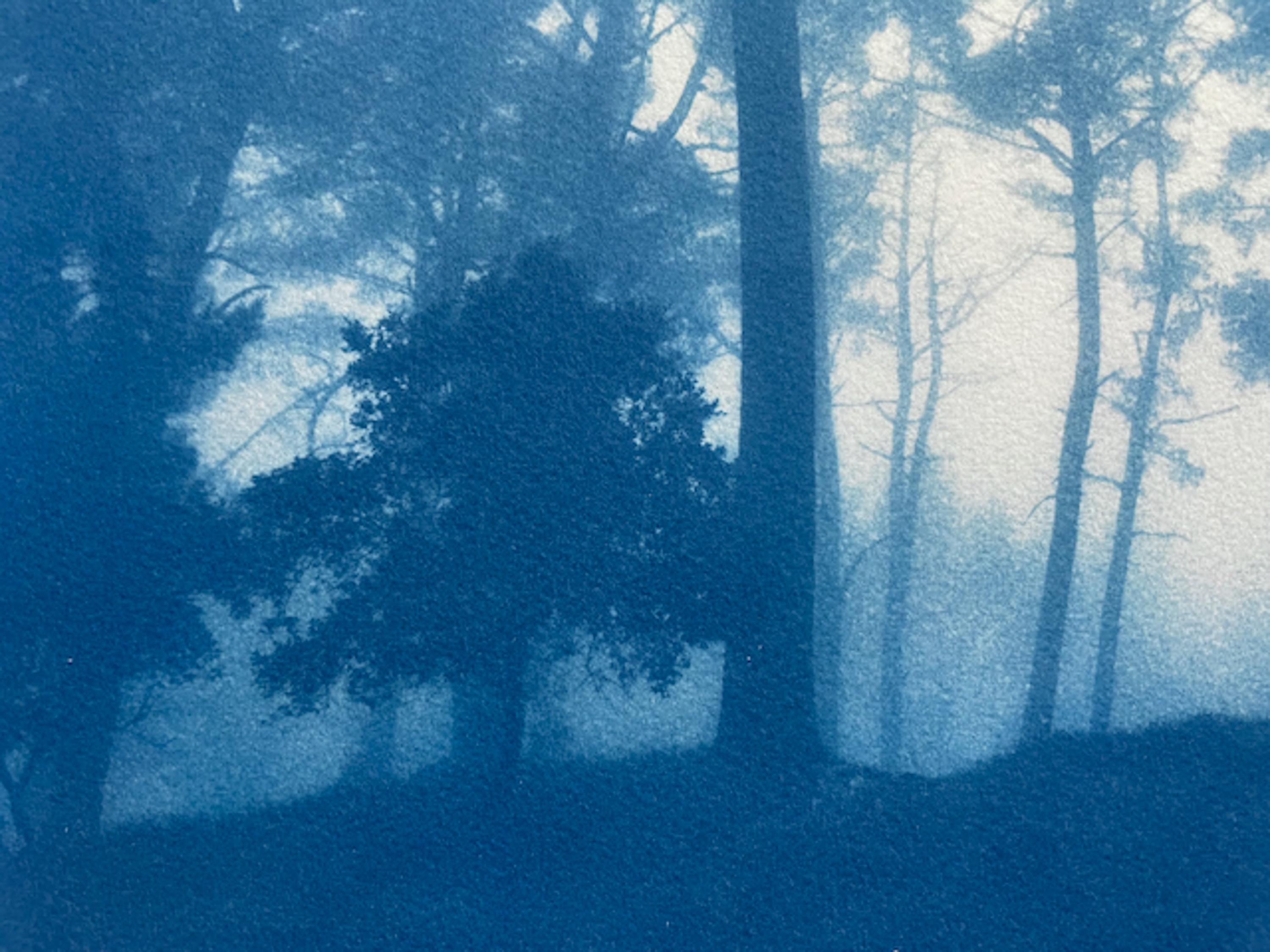 Cresta del Amanecer, edición 2 de 5 (Cianotipia impresa a mano, 12 x 18 pulgadas) - Print de Christine So