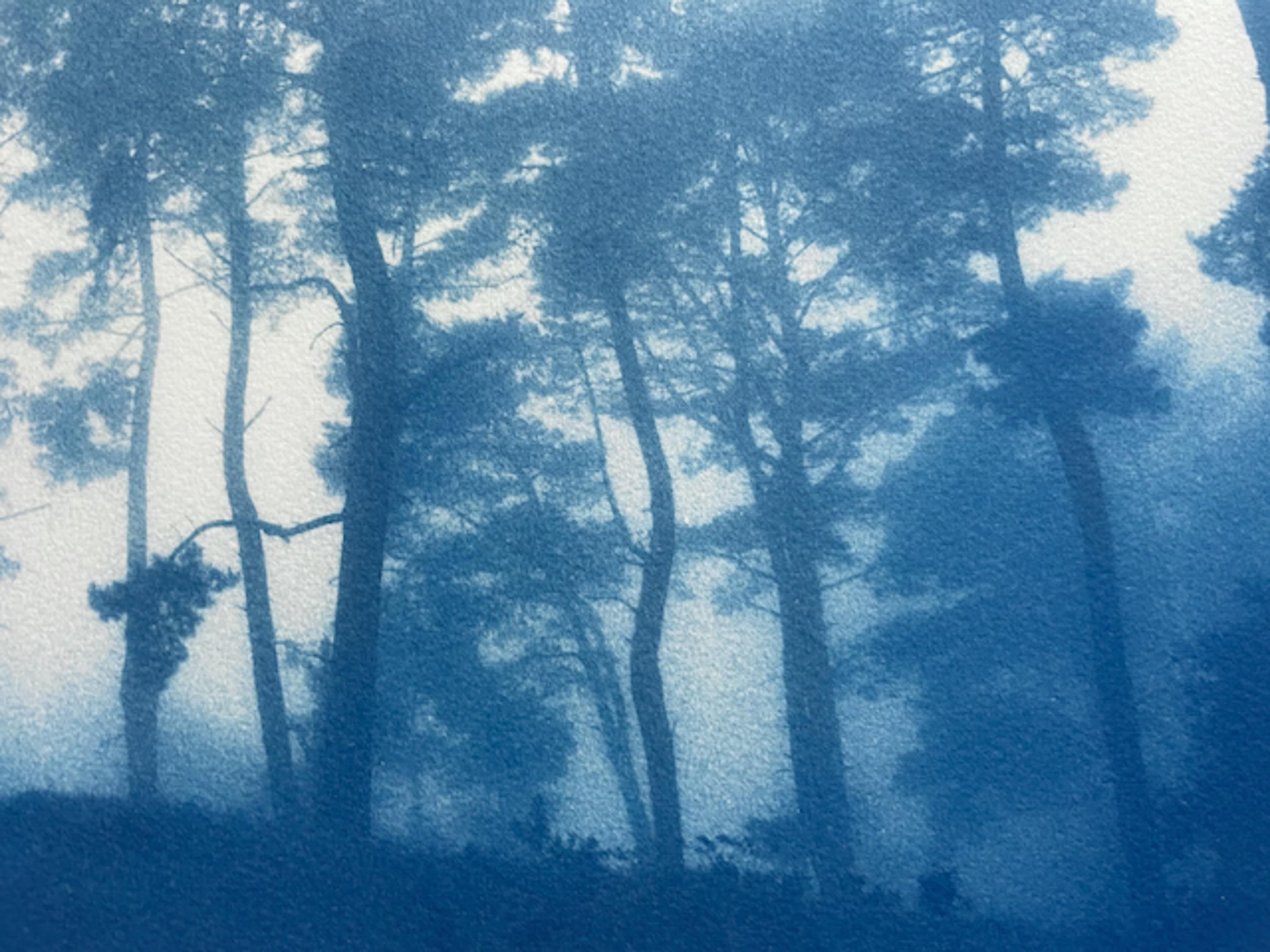 Cresta del Amanecer, edición 2 de 5 (Cianotipia impresa a mano, 12 x 18 pulgadas) - Landscape Print Azul de Christine So