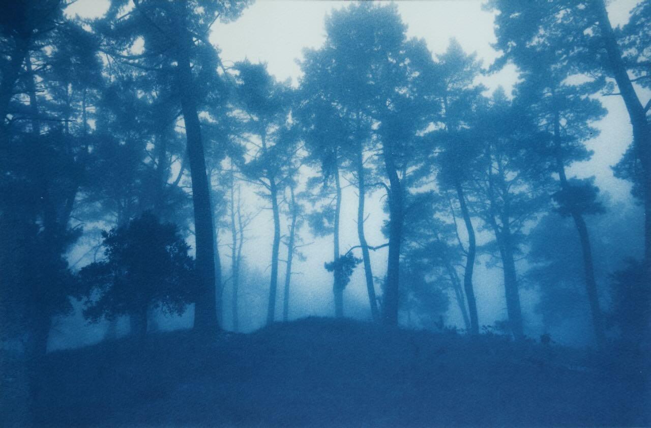 Sunrise Ridge (hand-printed cyanotype,  23 x 35", ed. 1 of 3)