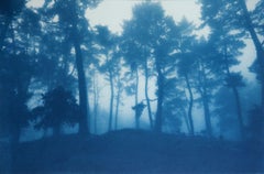 Sunrise Ridge (hand-printed cyanotype,  23 x 35", ed. 1 of 3)