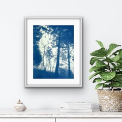 Sunrise Slope (cianotipo 12 x 16 pollici, edizione 1 di 5)