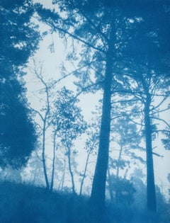 Sunrise Slope (cianotipo 12 x 16 pollici, edizione 1 di 5)