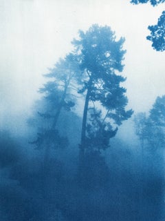 The Bend  (Framed hand-printed cyanotype: 23 x 29 inches)